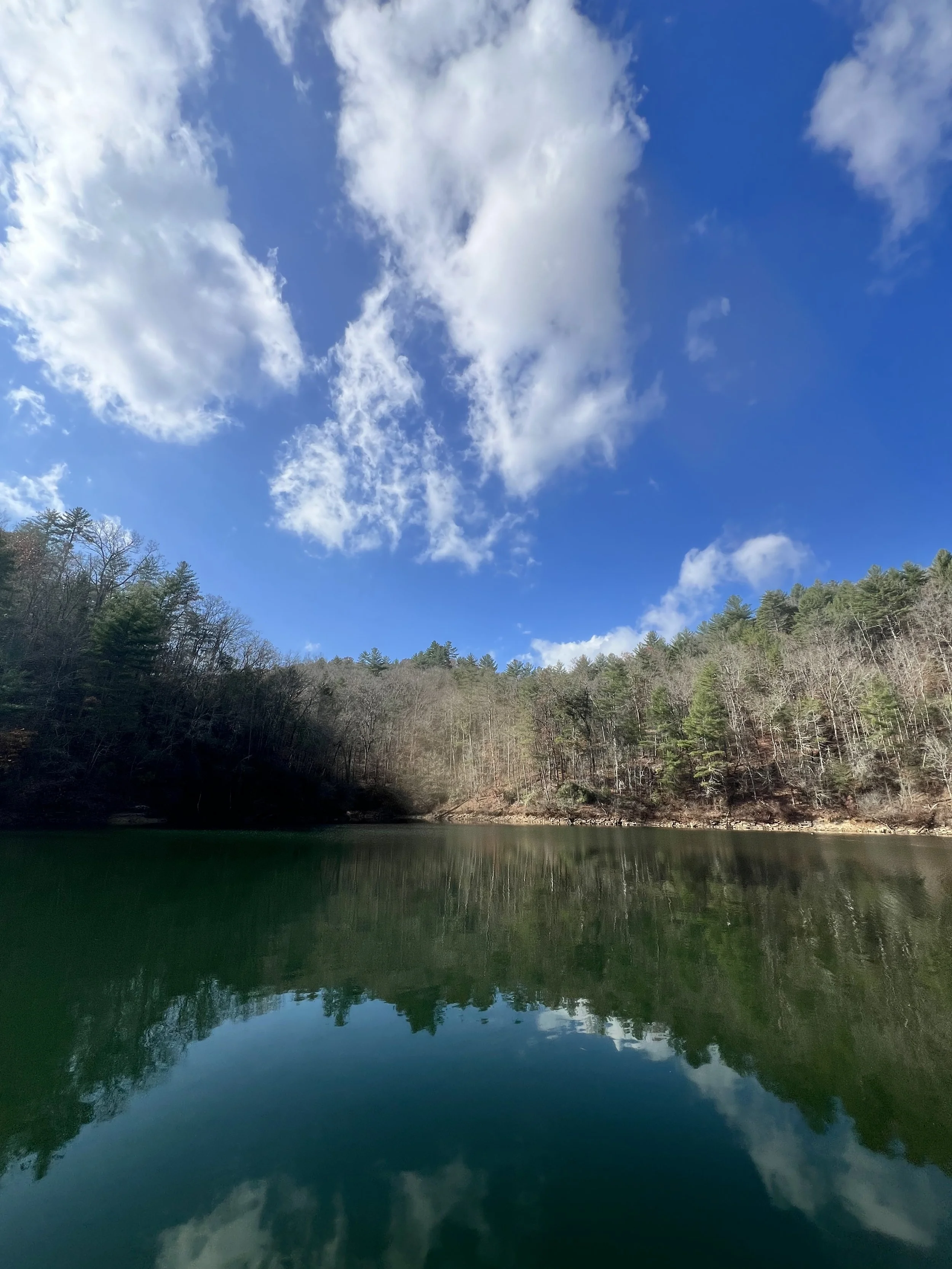A lake surrounded by trees under a blue sky with white clouds.