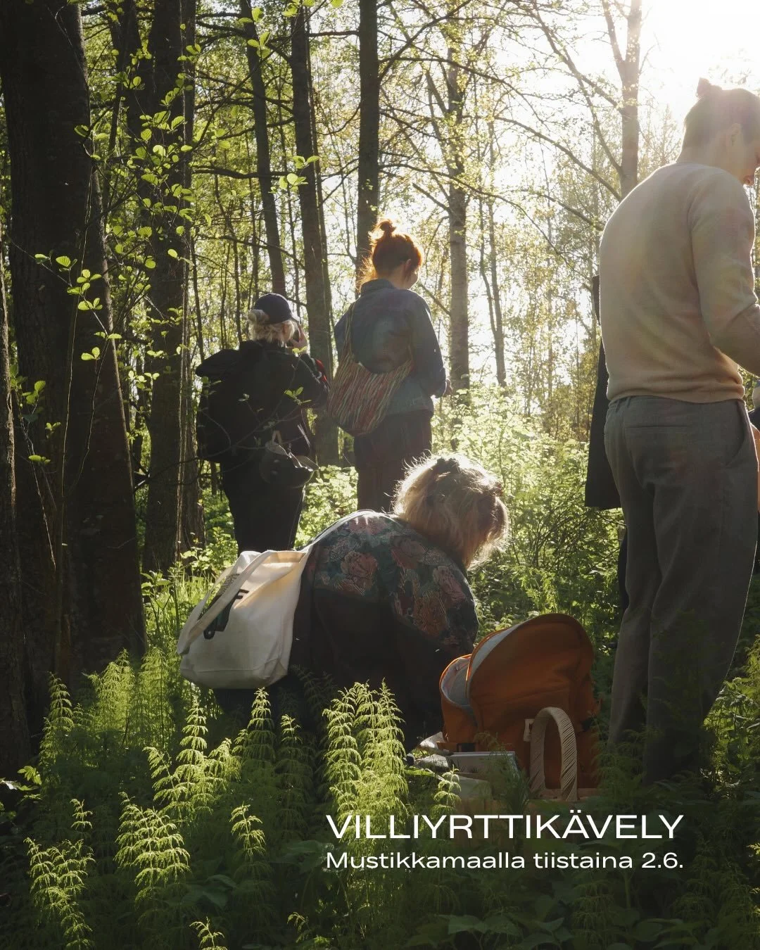 Kiinnostaako luonnonkasvien ja niiden hy&ouml;dynt&auml;misen maailmaan perehtyminen? Tuu Muutoskollektiivin villiyrttik&auml;velylle Mustikkamaalle tiistaina 2.6. klo 18&ndash;20.30. Mukaan mahtuu 15 ensimm&auml;isen&auml; ilmoittautunutta. Ole siis