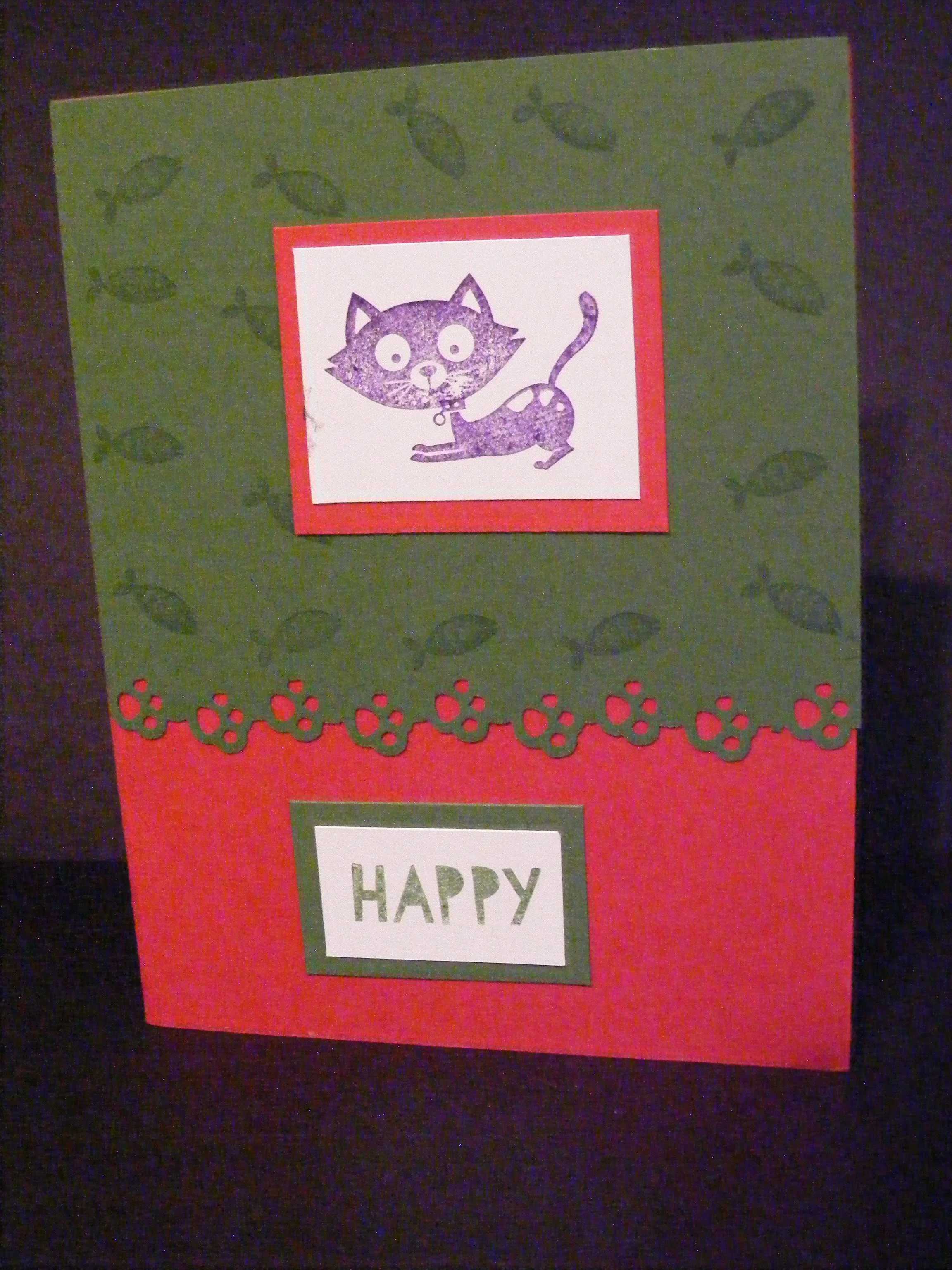 cat happy.JPG