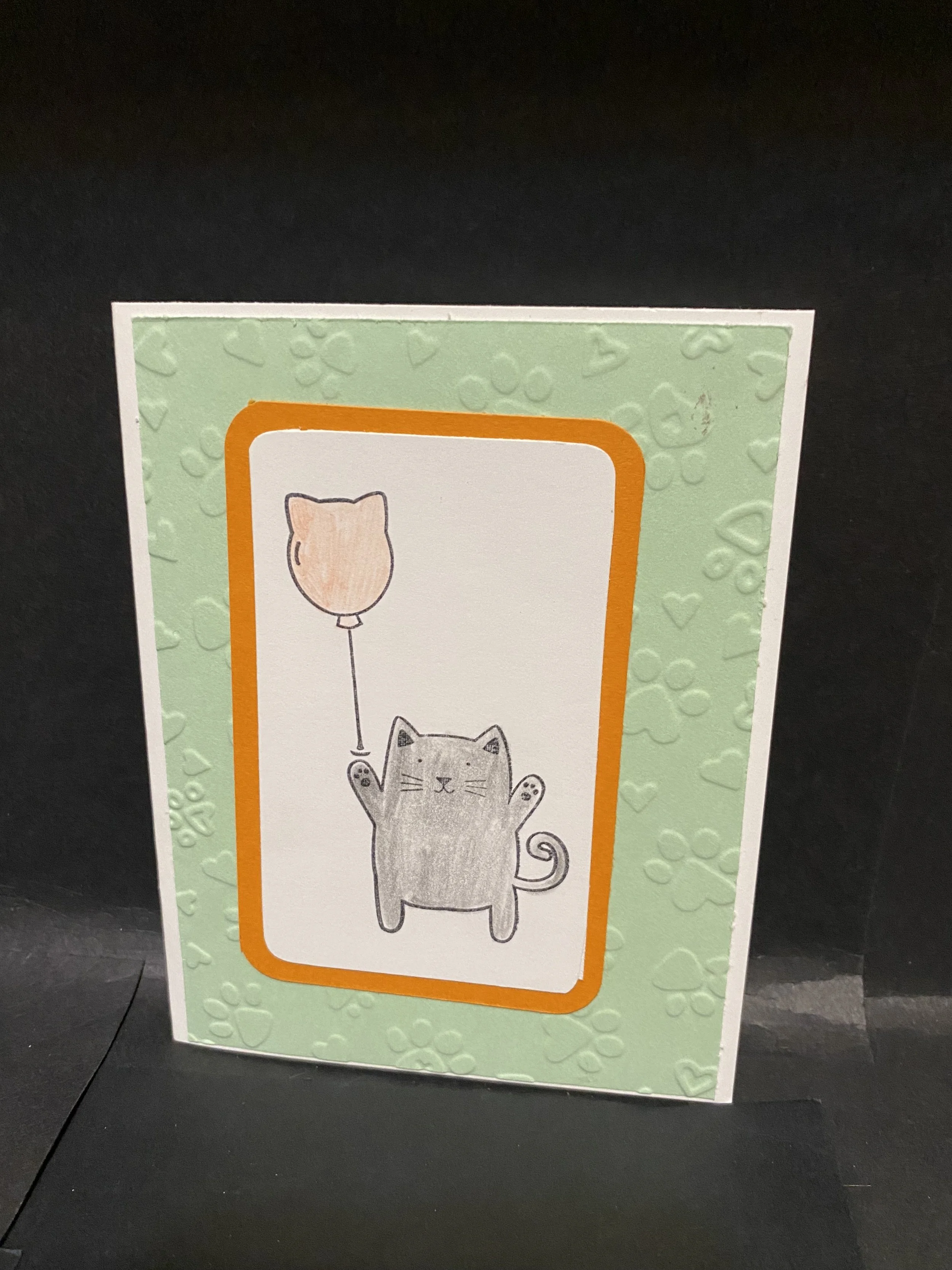 kw cat with balloon 1.jpg