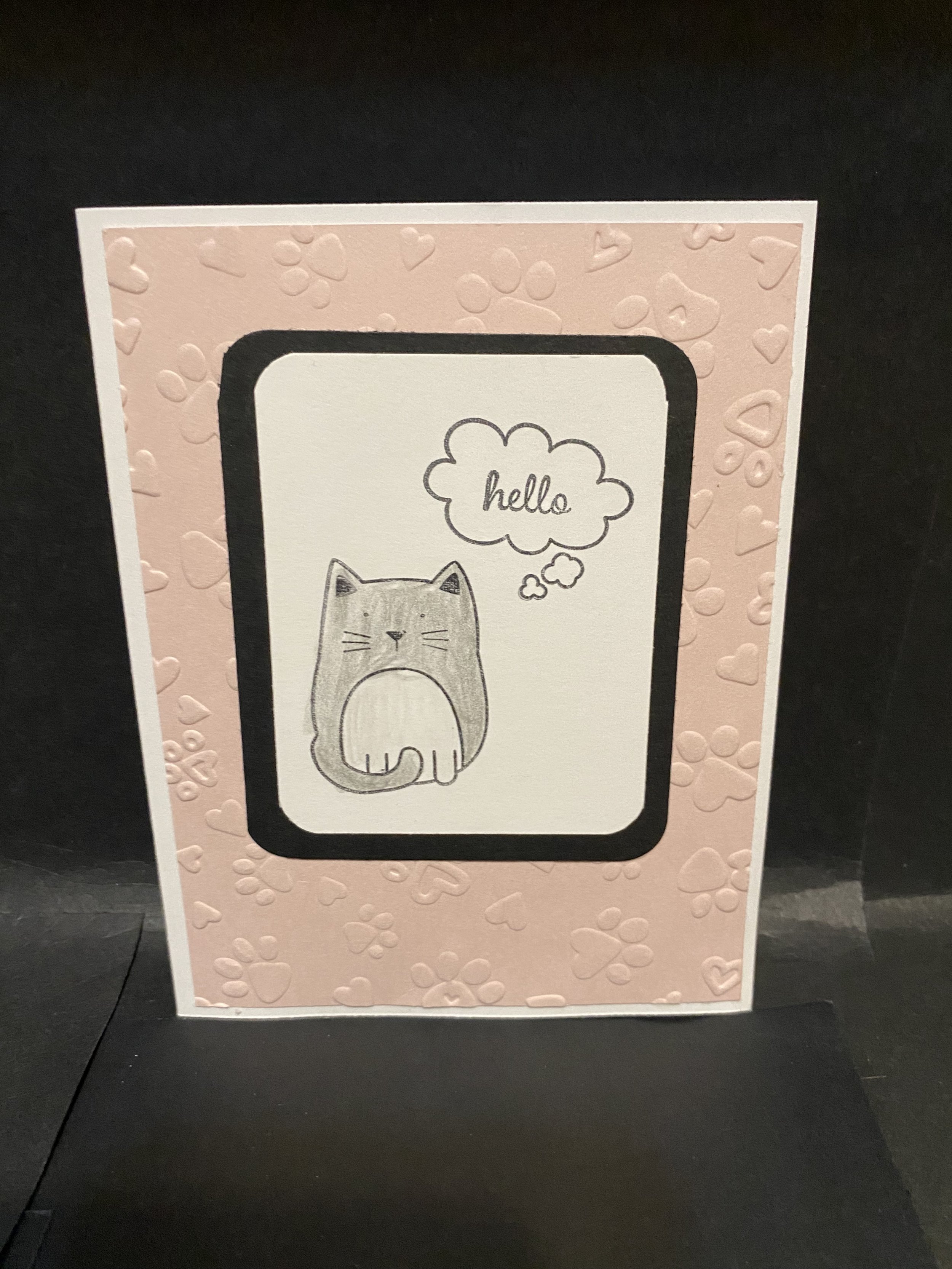 kw cat awesome.jpg