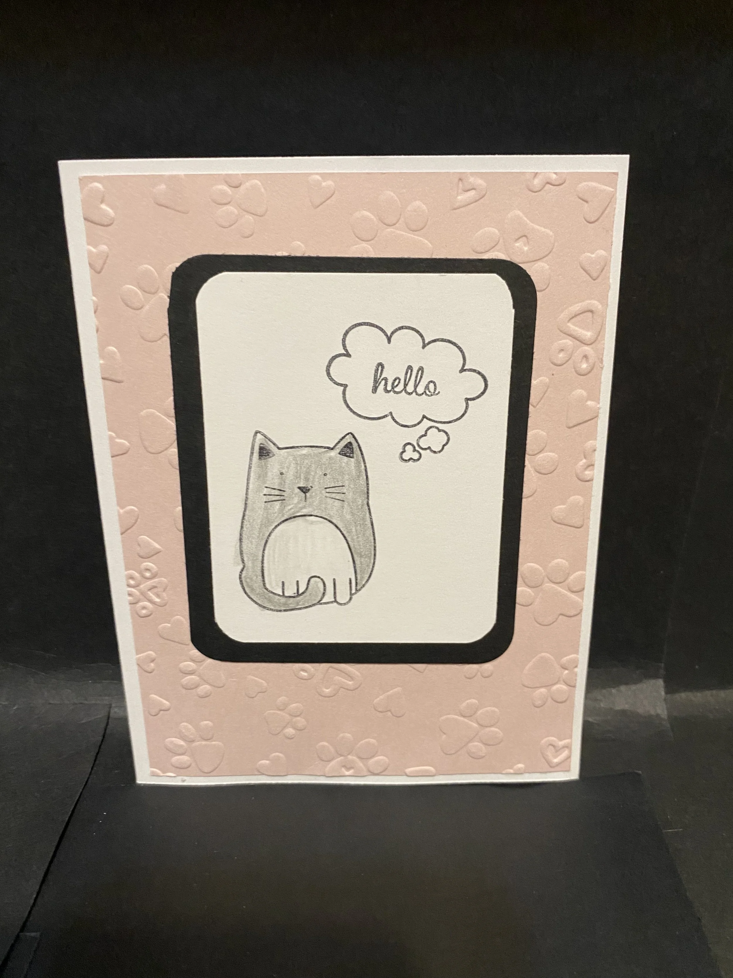 kw cat awesome.jpg