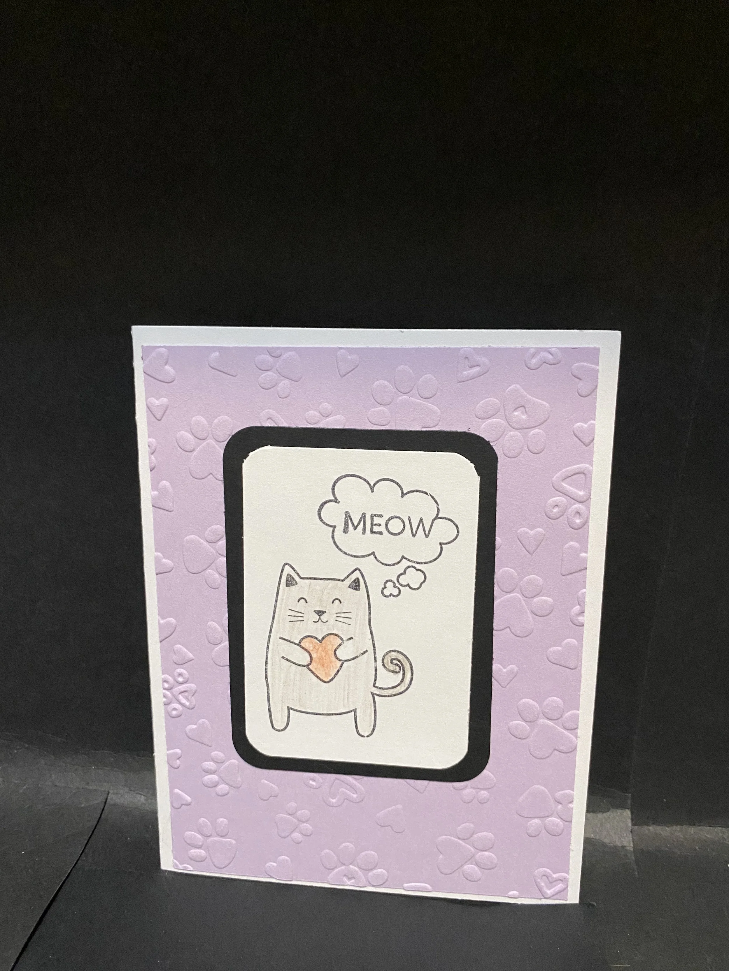 kw cat meow.jpg