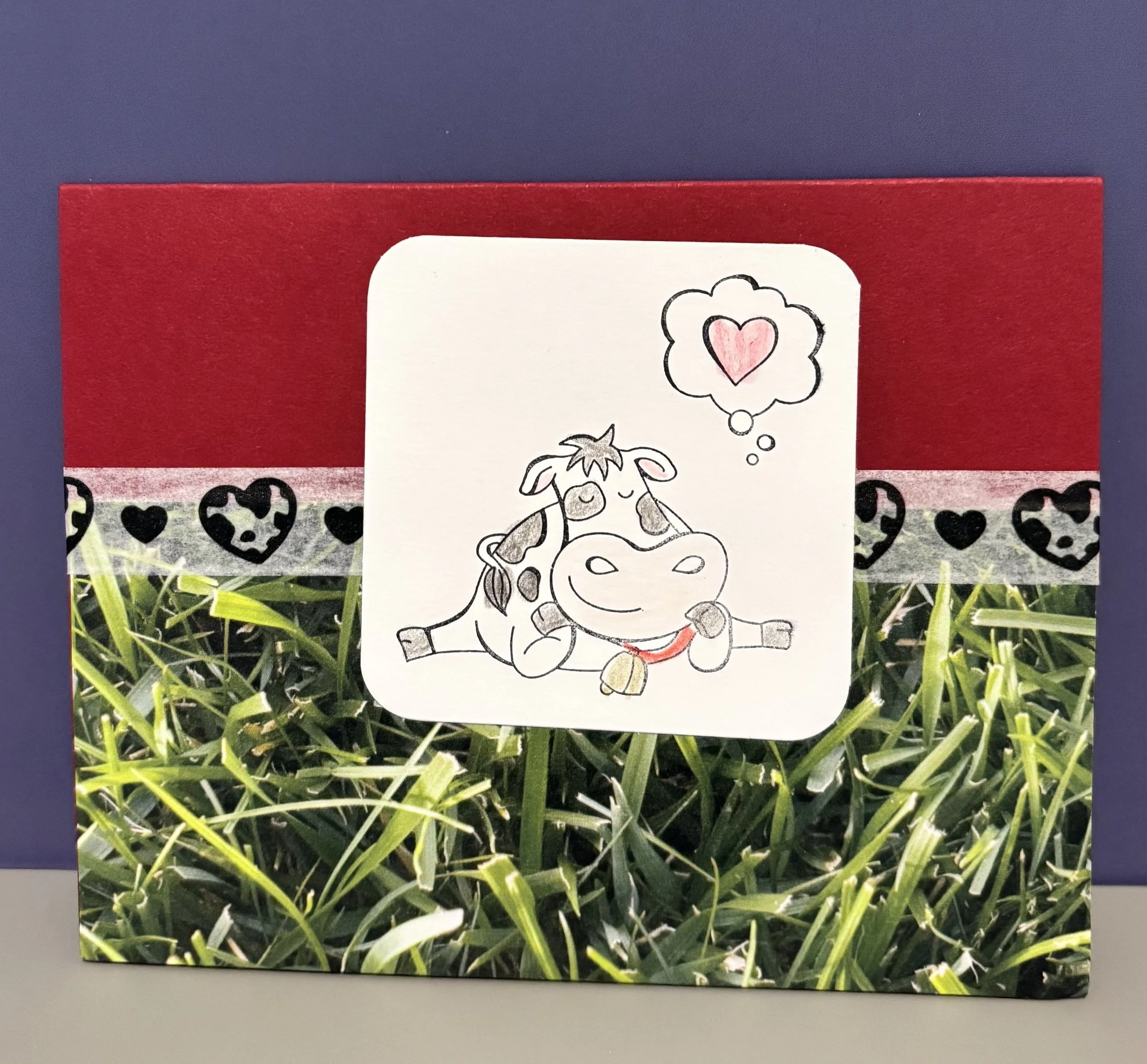 cow laying with heart.jpg