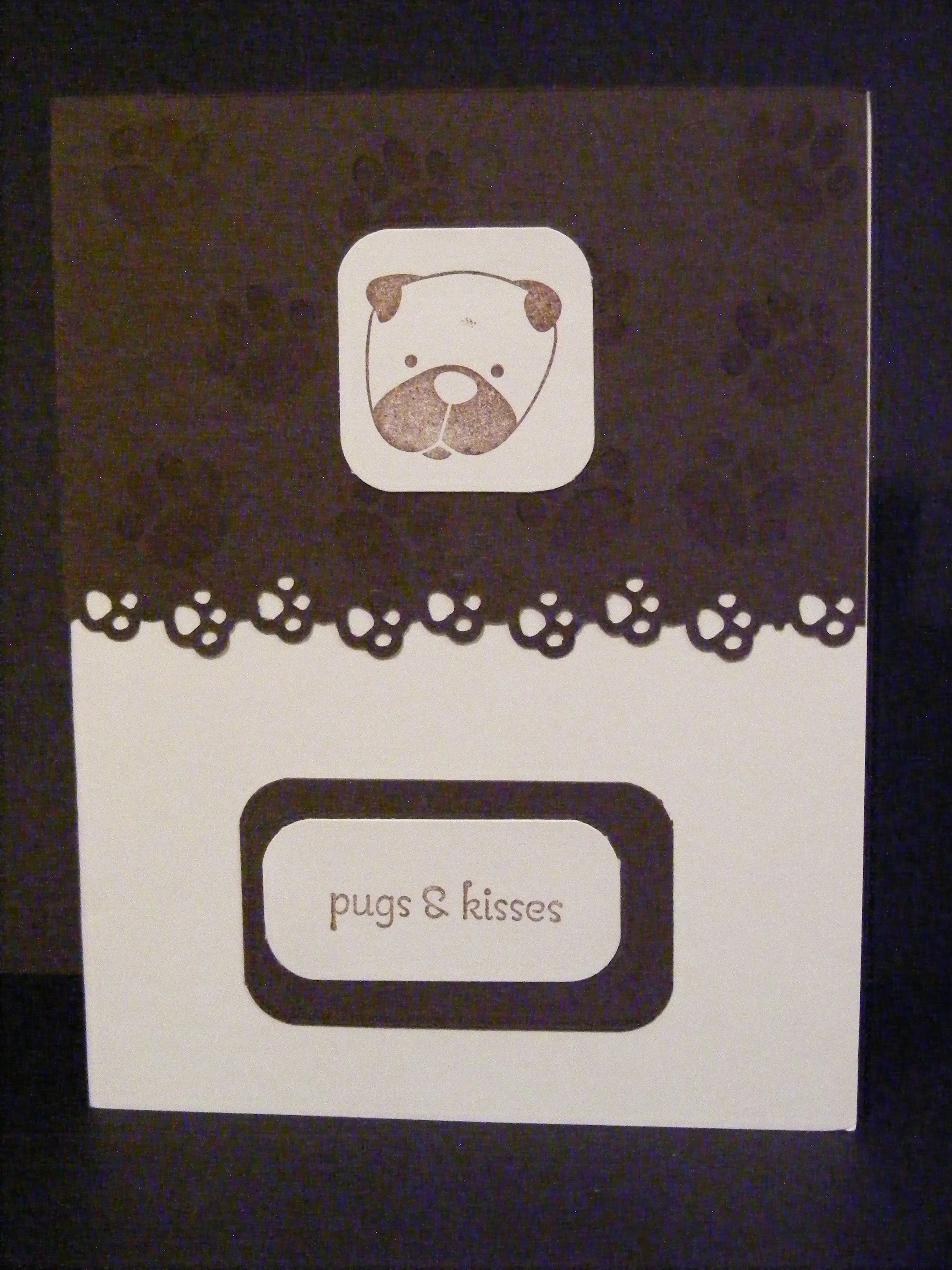pugs and kisses dog.JPG