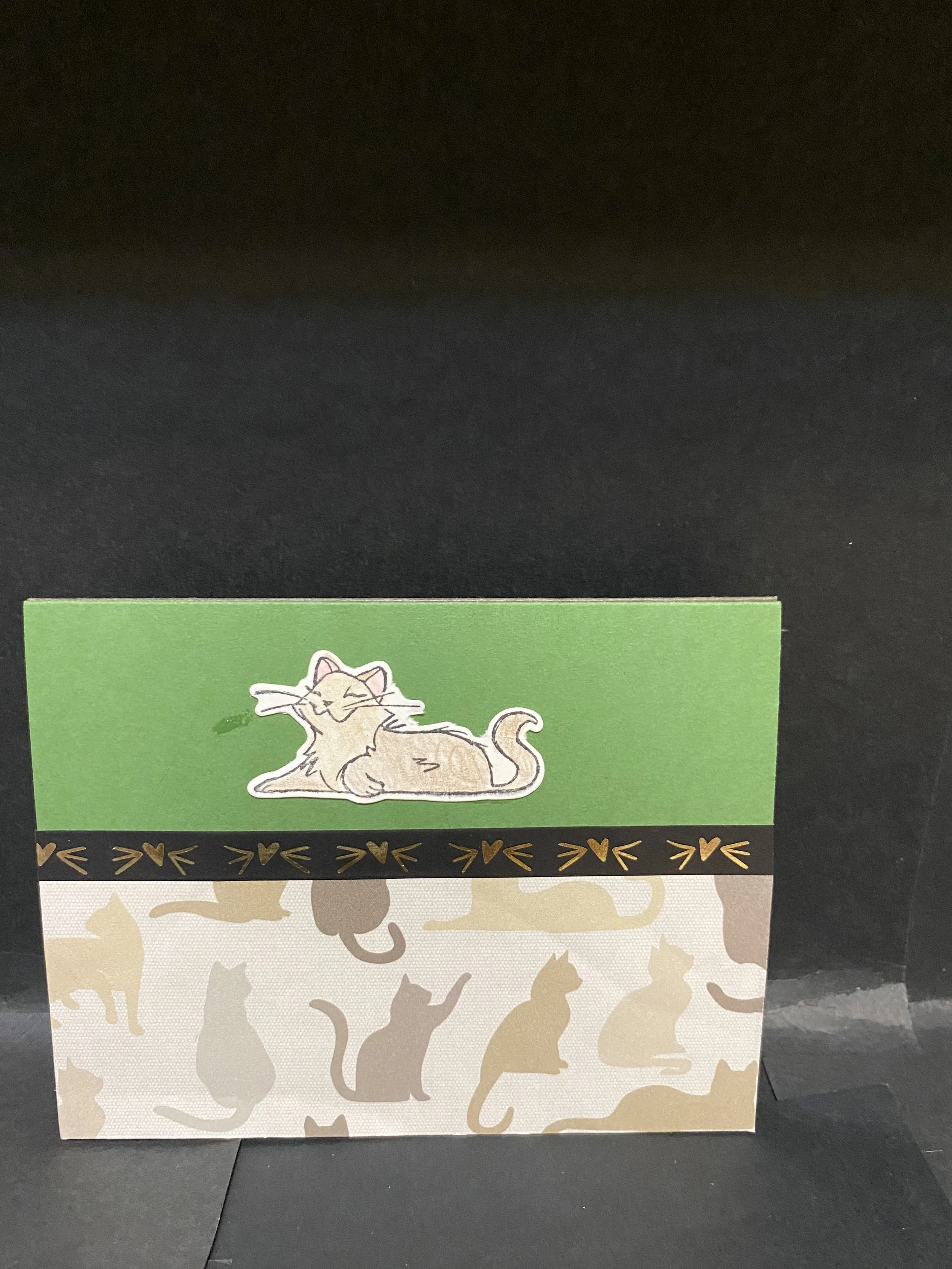 cat stretched card.jpg