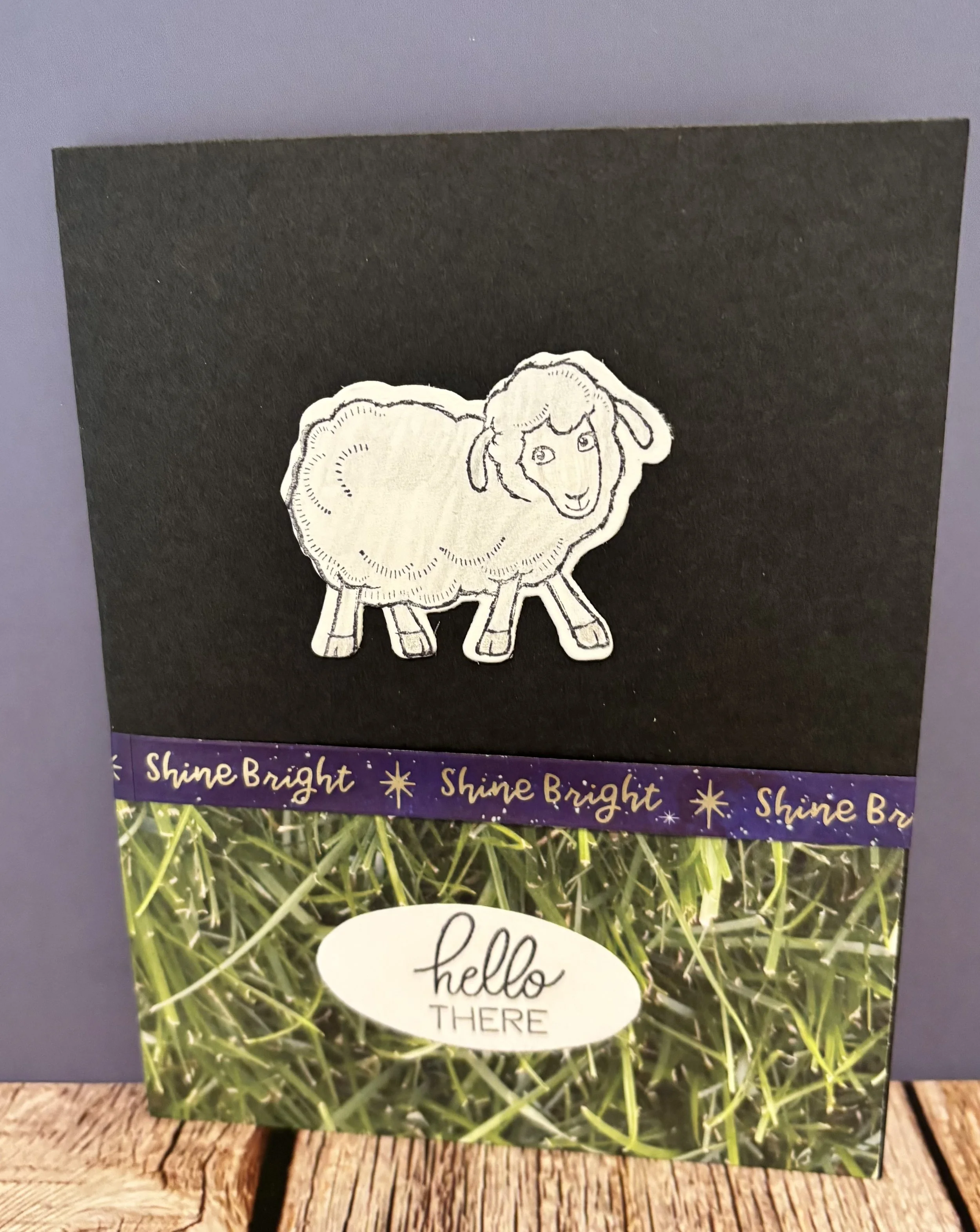 sheep standing.jpg