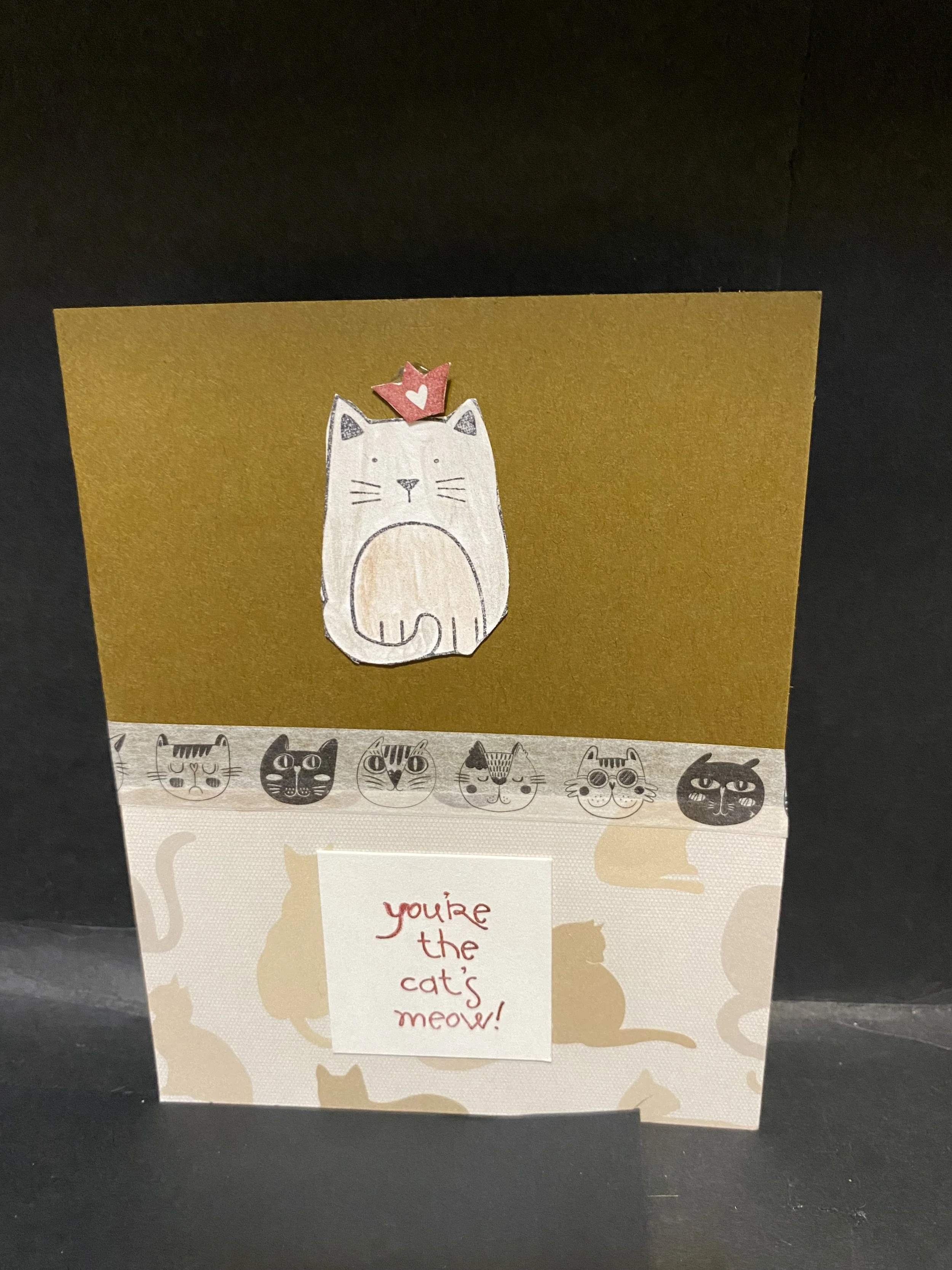 kw cat with crown.jpg