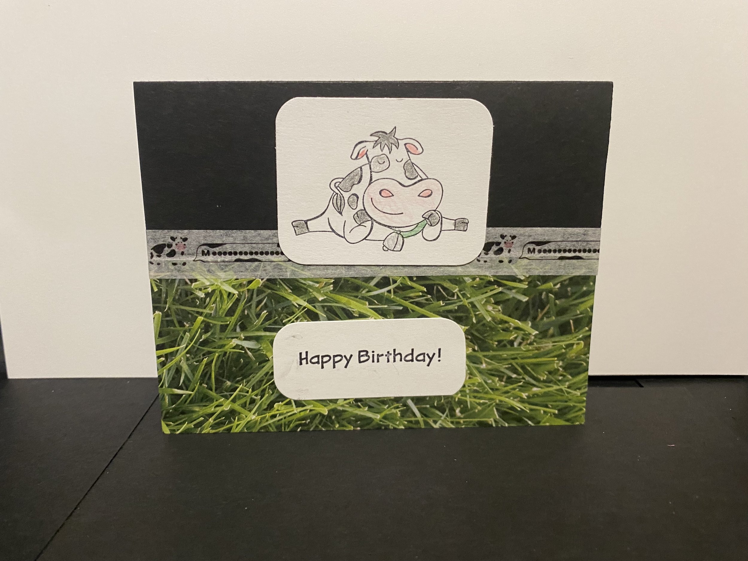 cow cards bd.jpg