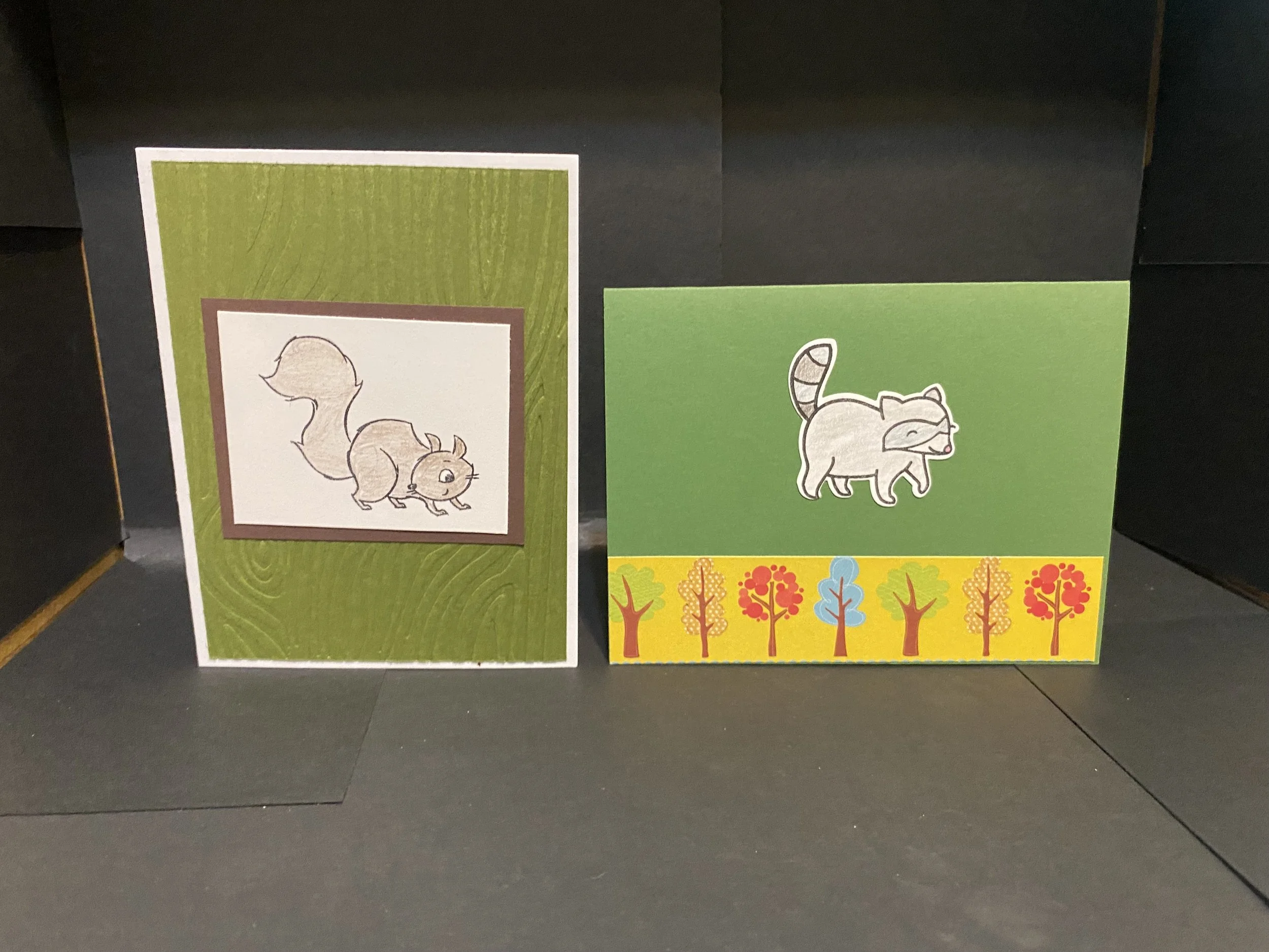 squarril and raccoon cards.jpg