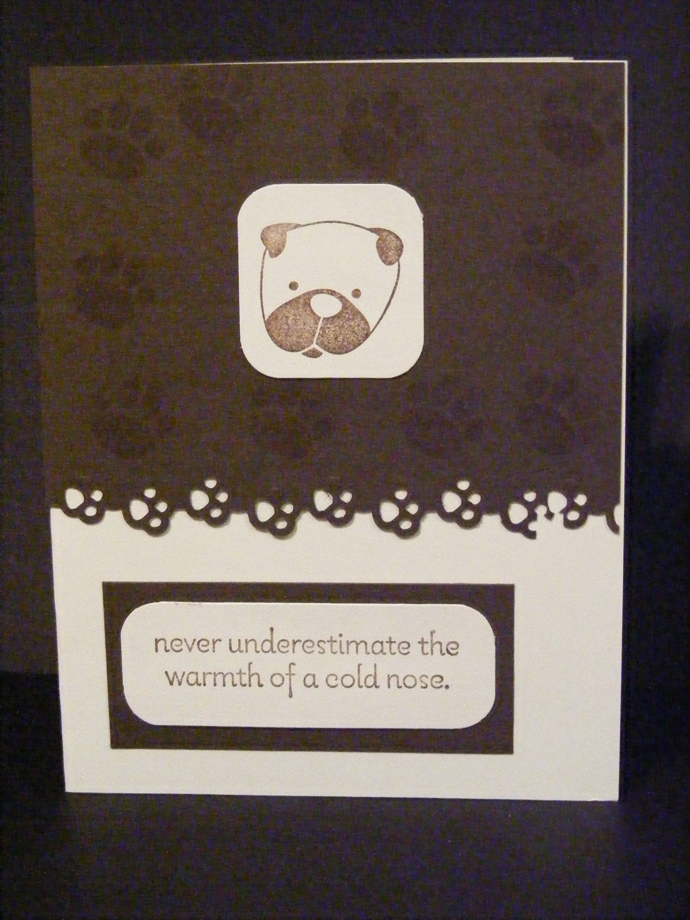 pug warm nose dog.JPG