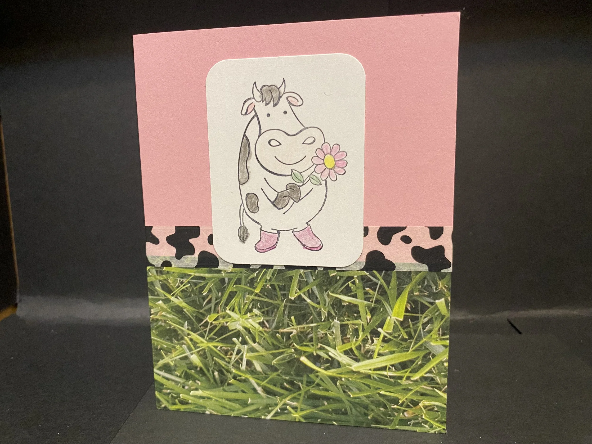 cow with flower.jpg