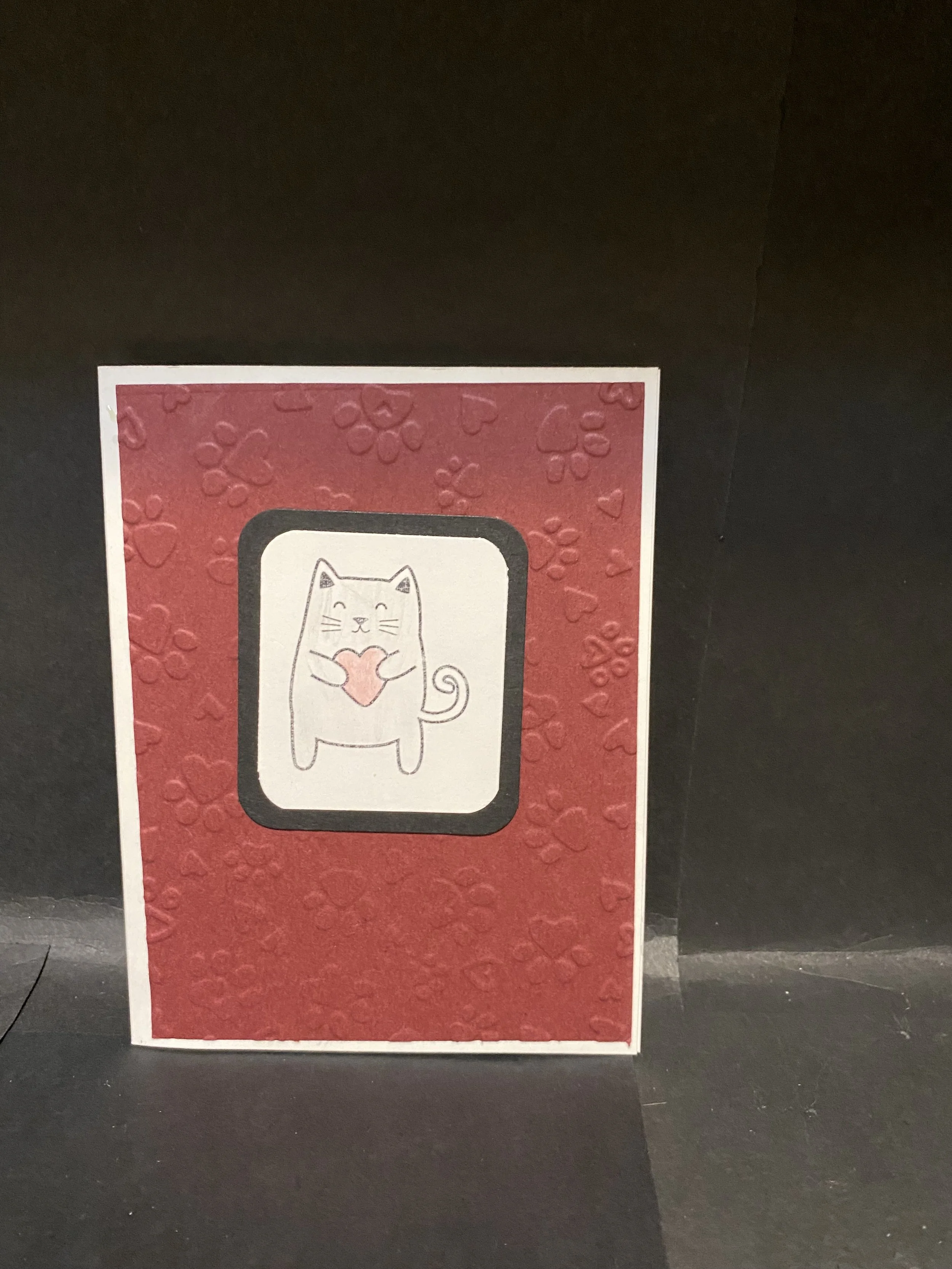 kw cat holding heart.jpg