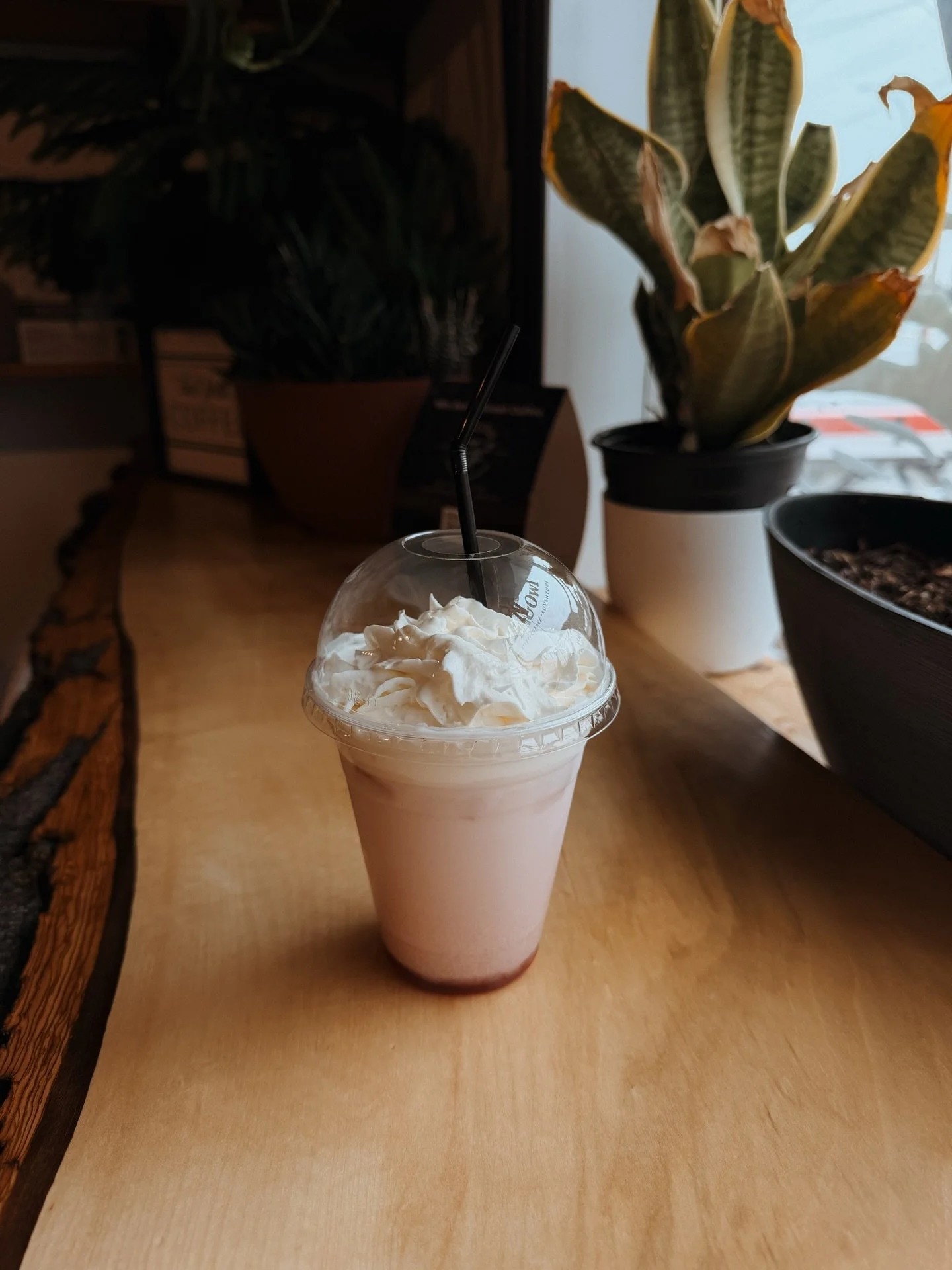 Winter has overstayed its welcome. We think you deserve something sweet.

🍹 Italian Cream Soda &mdash; cold, creamy, and exactly what you need right now.

Find us Friday&ndash;Sunday until 4pm

📍 708 Main Ave W

🛒 Pre-order at ElkOwl.ca | Delivery