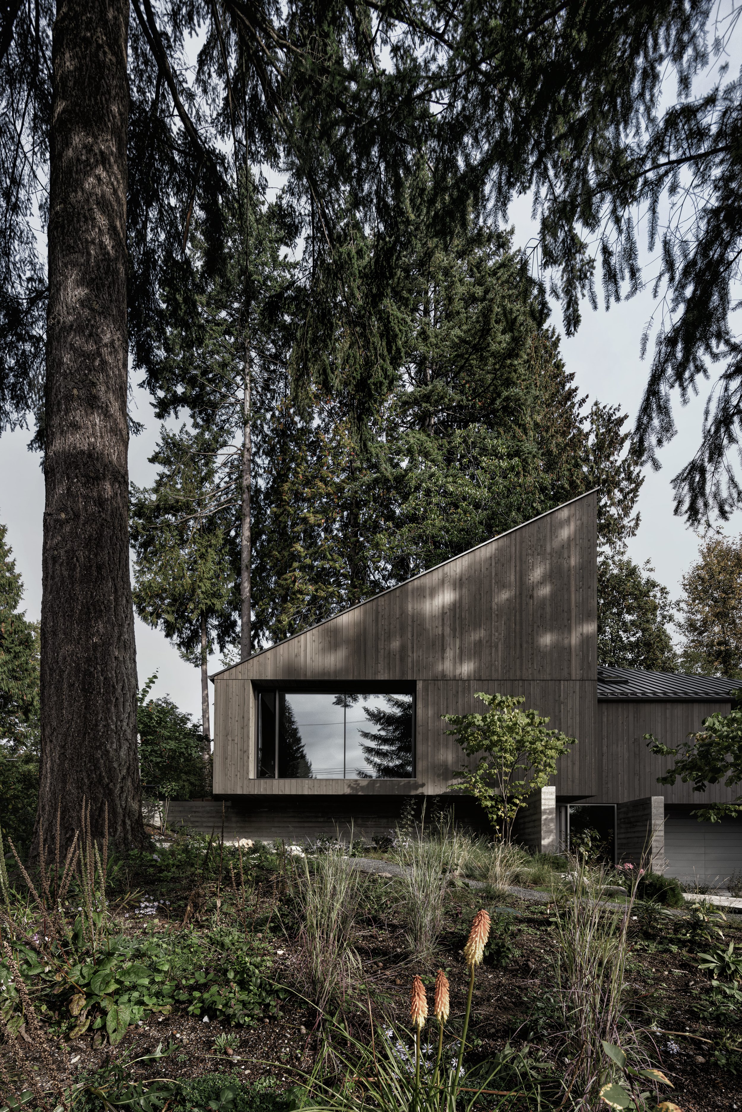 Twin House