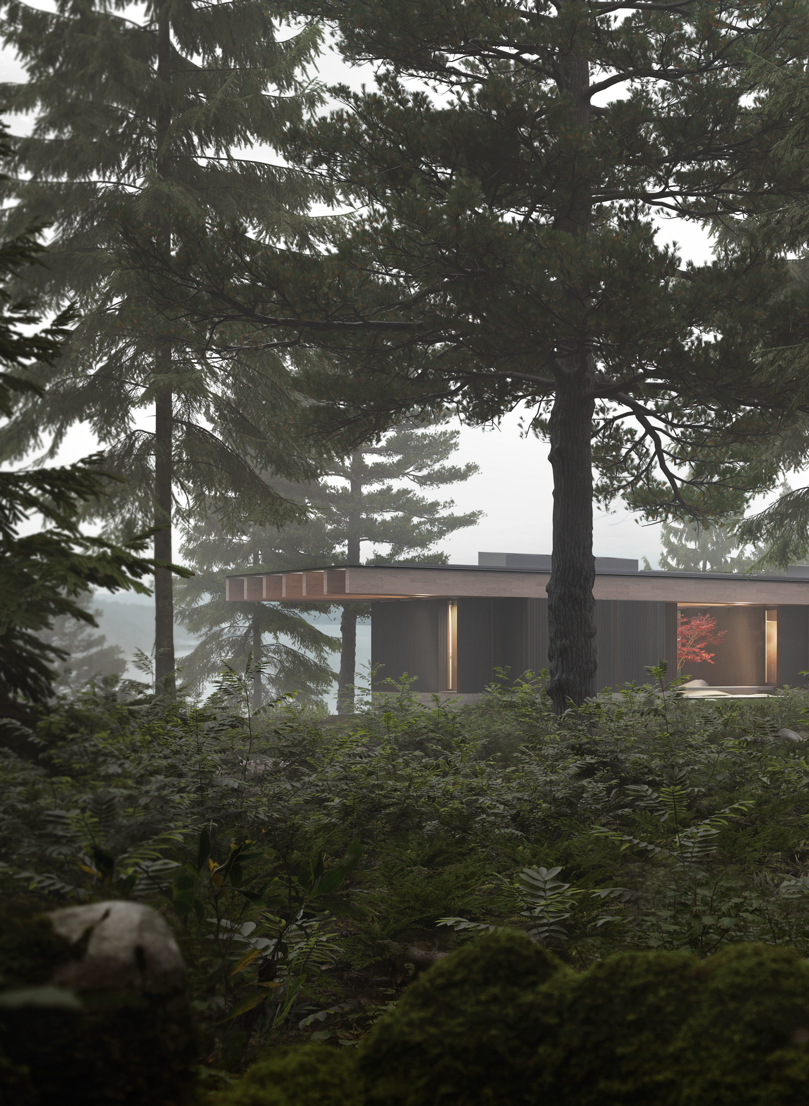  2025  In Progress  Hornby House 