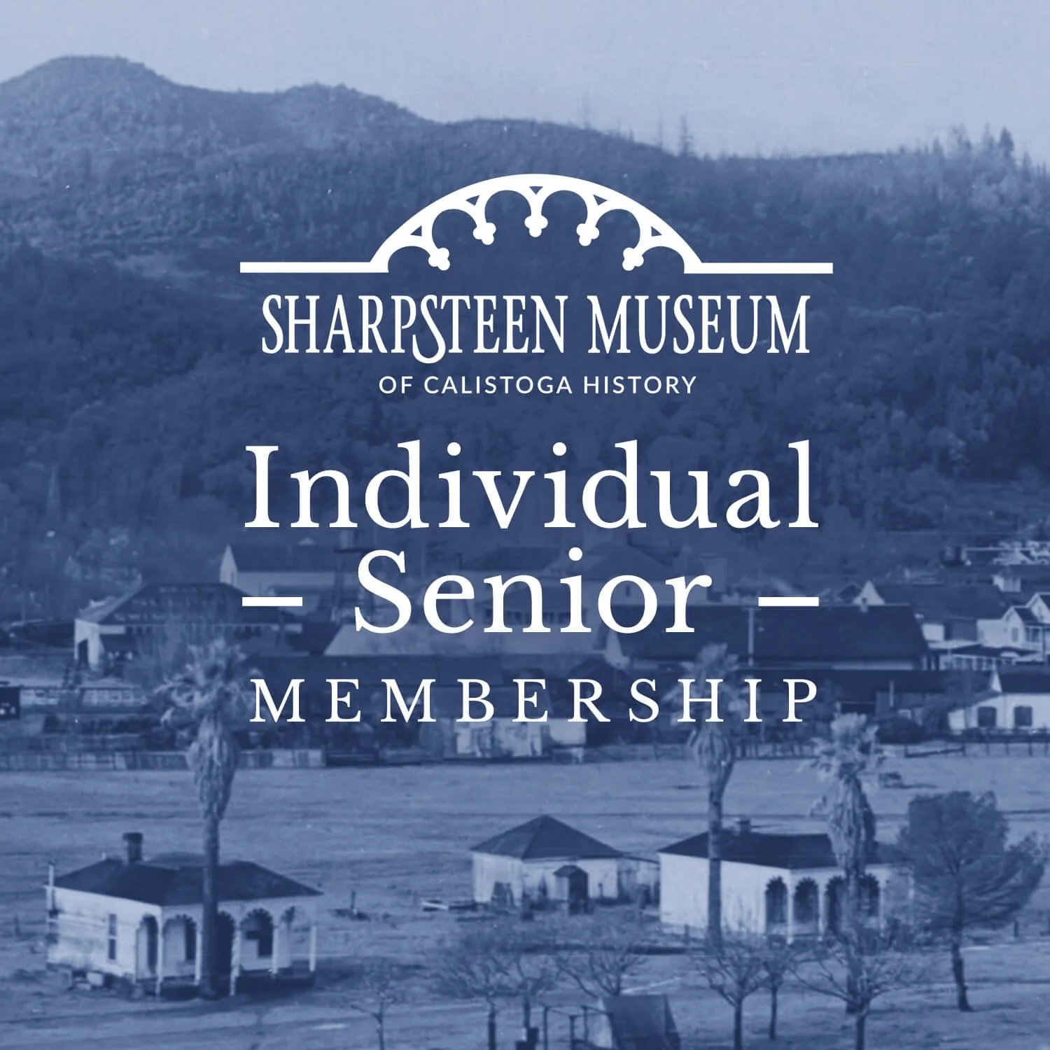 Senior 65+ Individual Membership