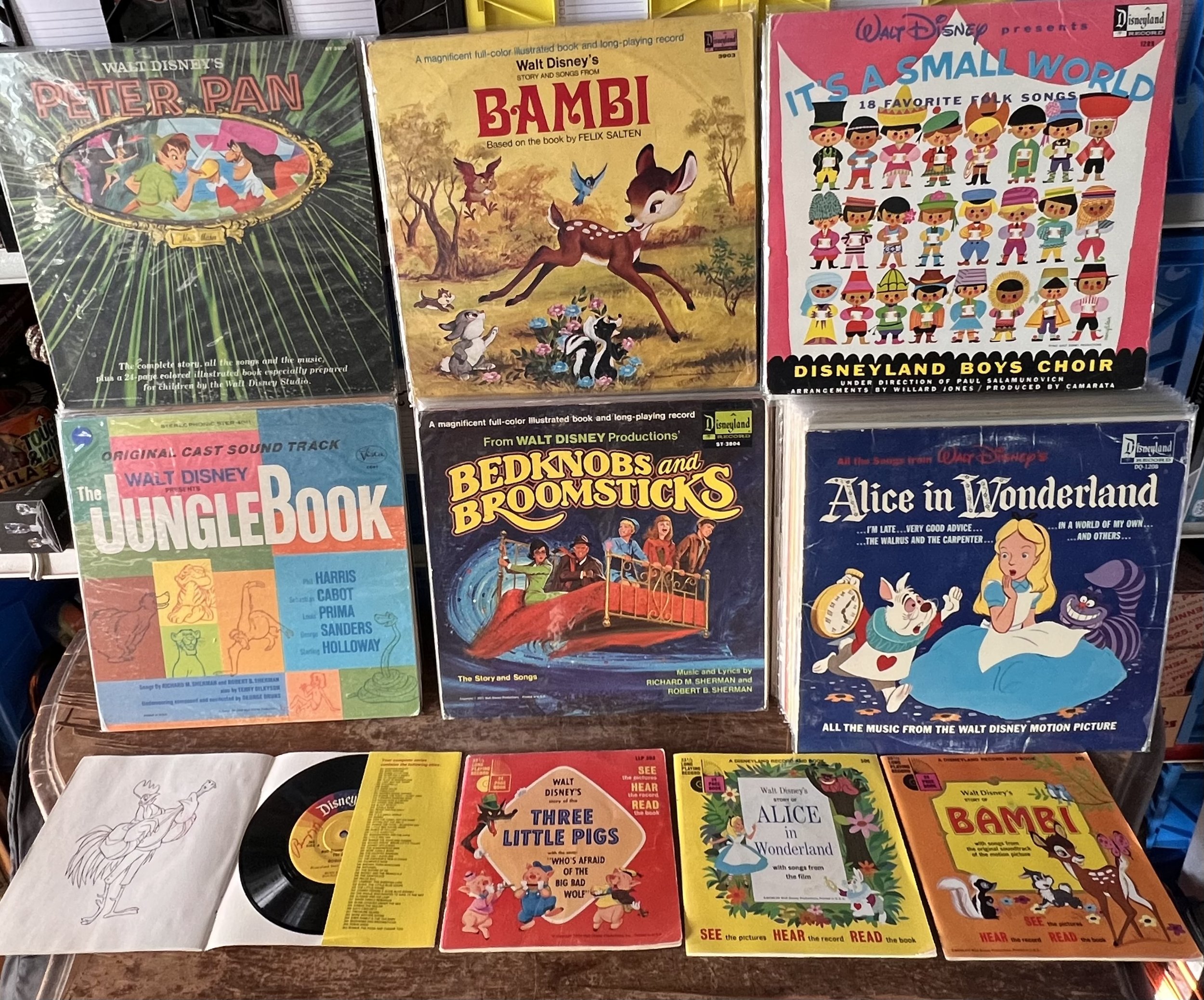 When You Wish Upon A Star: A Treasury of Disney Music