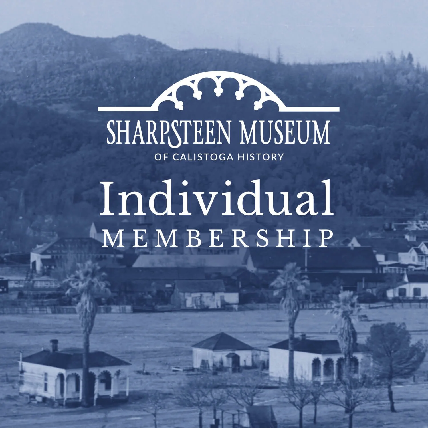 Individual Membership