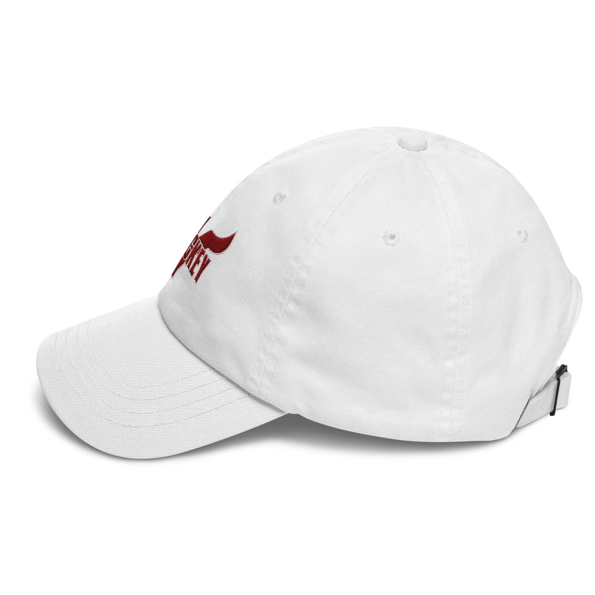 classic-dad-hat-white-left-6740aac6ecbca.png