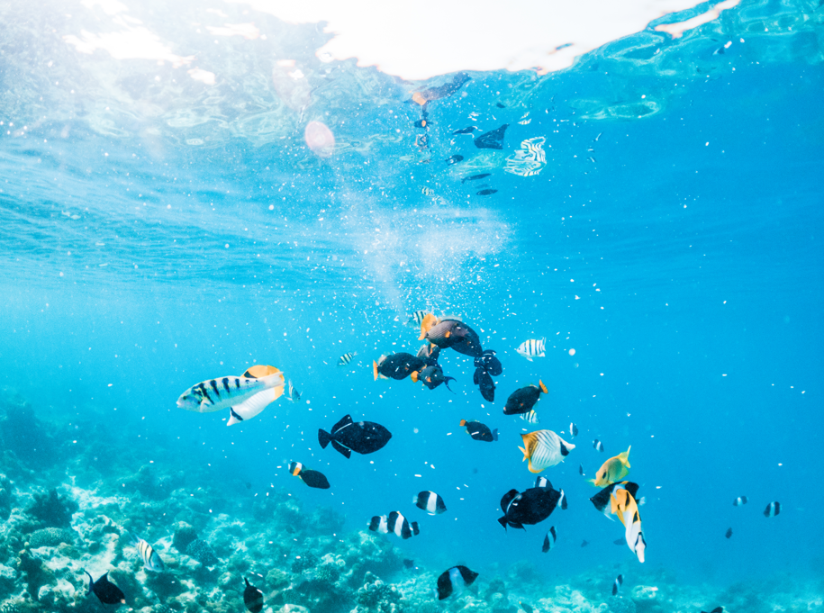 Snorkeling by the Arch Image 6
