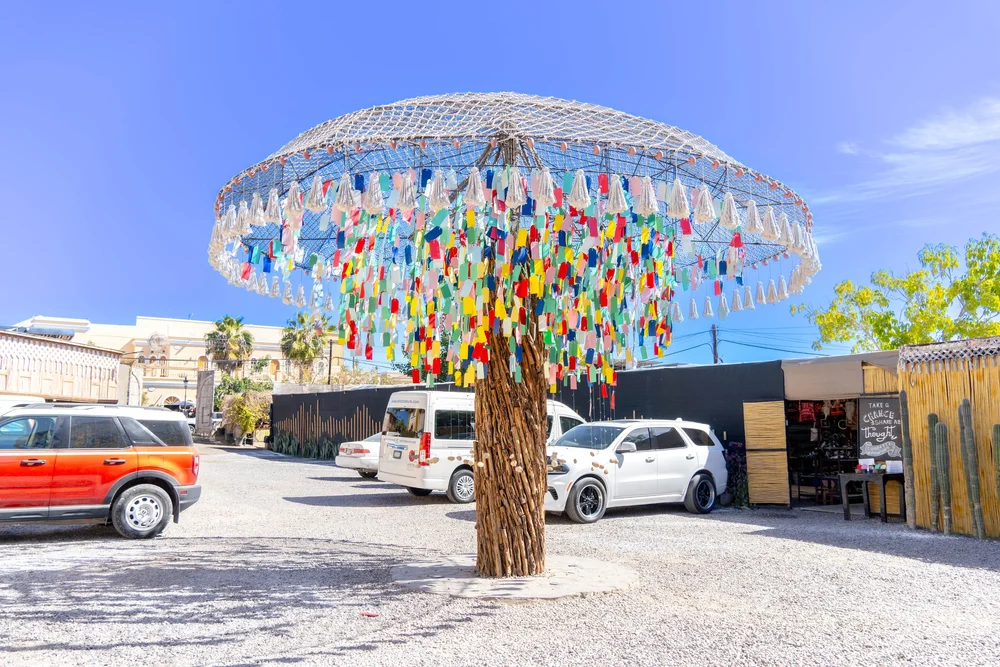 Todos Santos Tour Image 5
