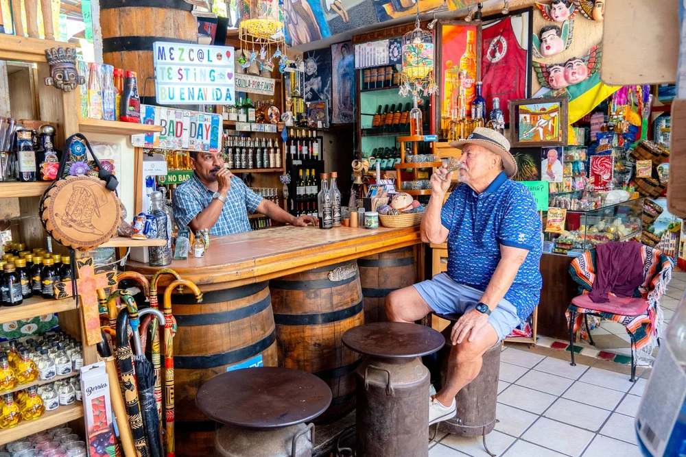 Todos Santos Tour Image 1