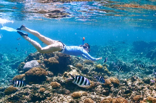Woman snorkeling with tropical fish in clear blue water