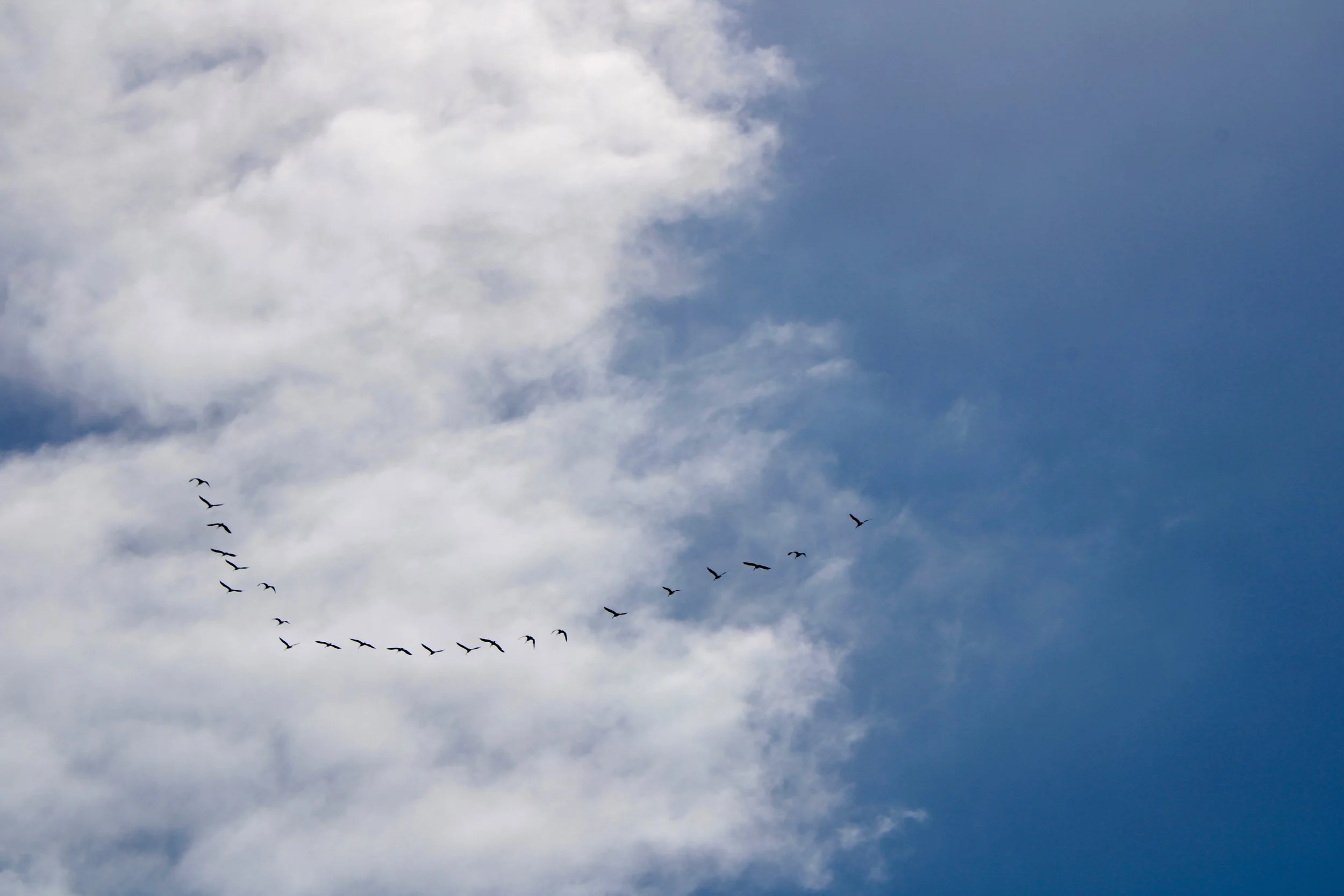In Flight