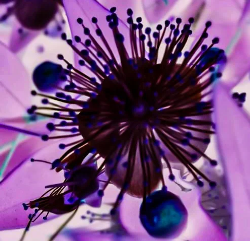 WhatsApp Image 2020-06-17 at 11.17.04.jpg