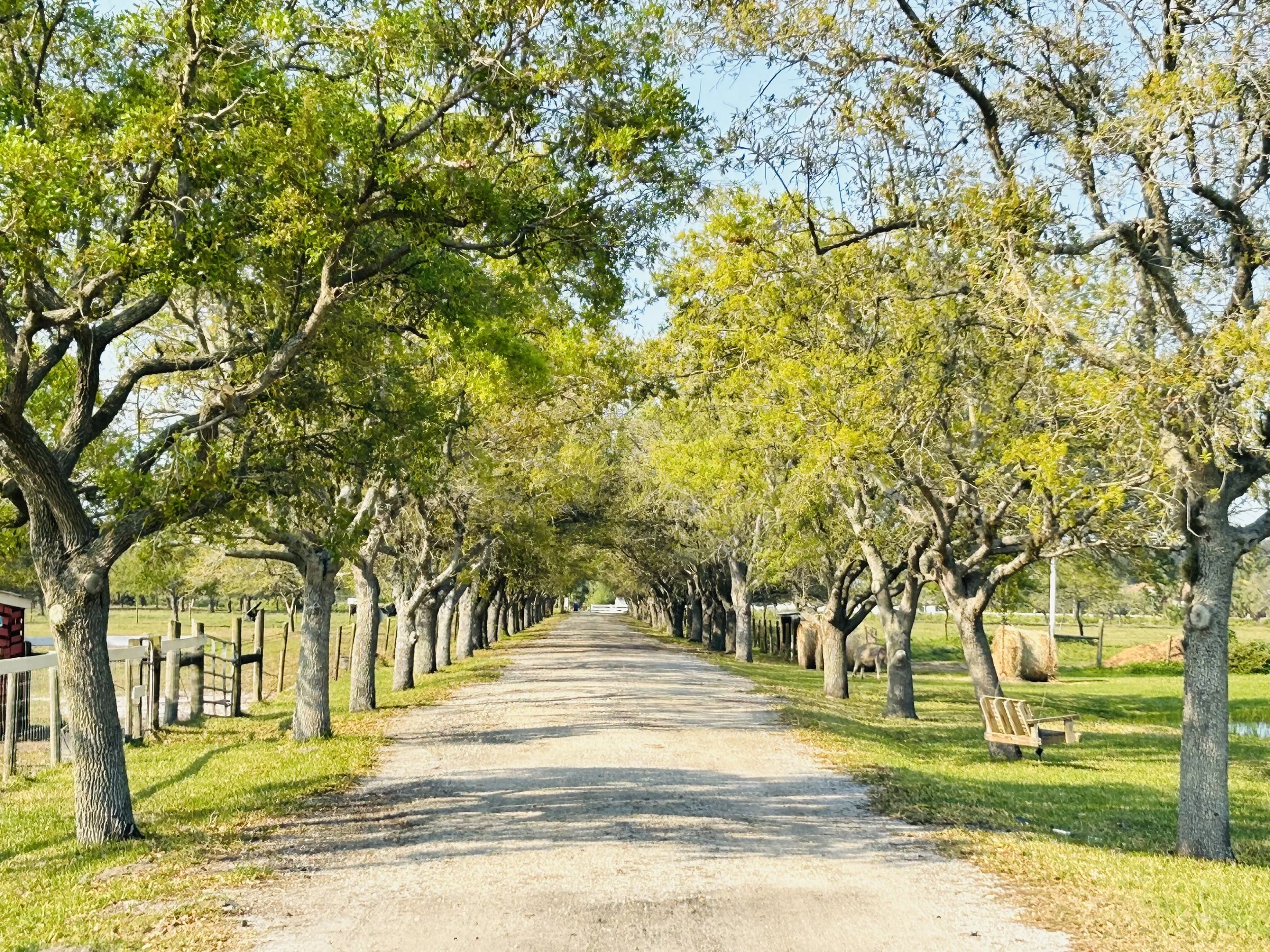 A Love Letter to This Land, My Sanctuary