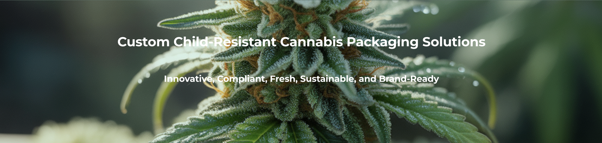 Screenshot 2026-01-07 at 3.02.29 PM.png