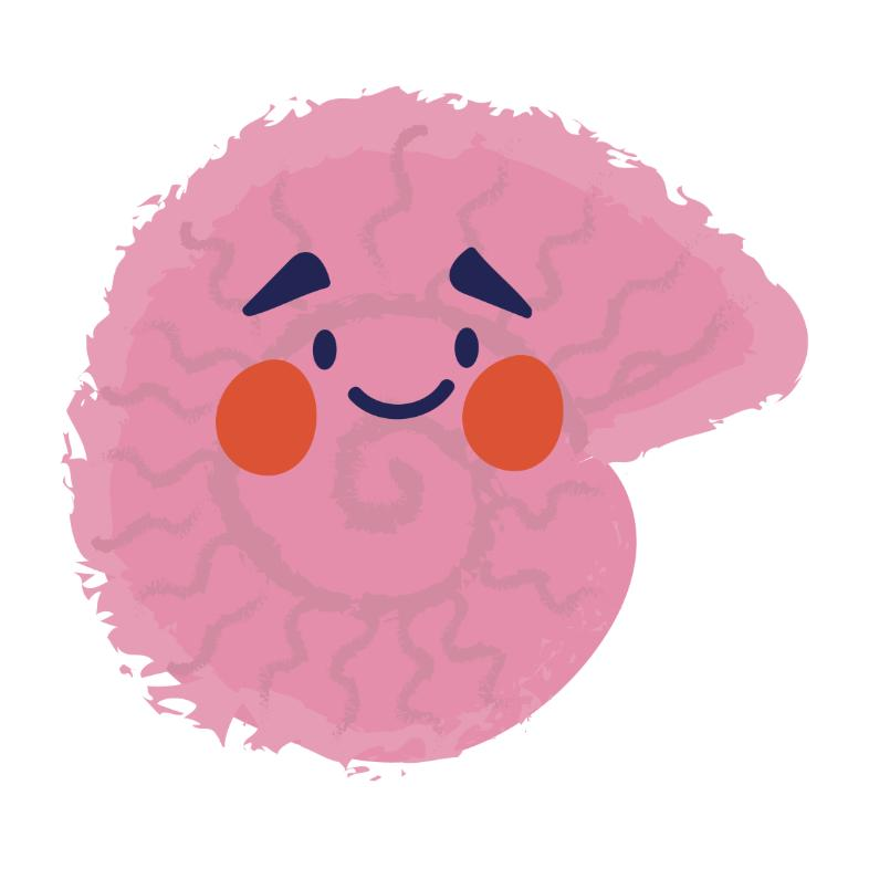 cambridge-08-ammonite.png