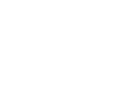 THE VILLAGE