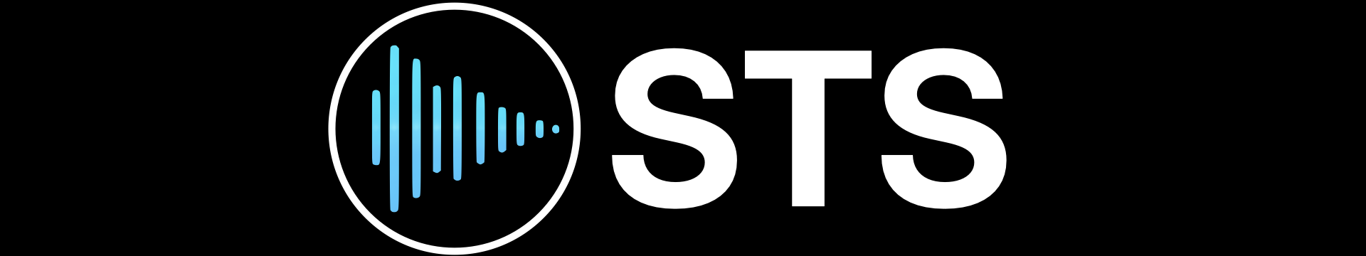 New STS Logo_1:3.png