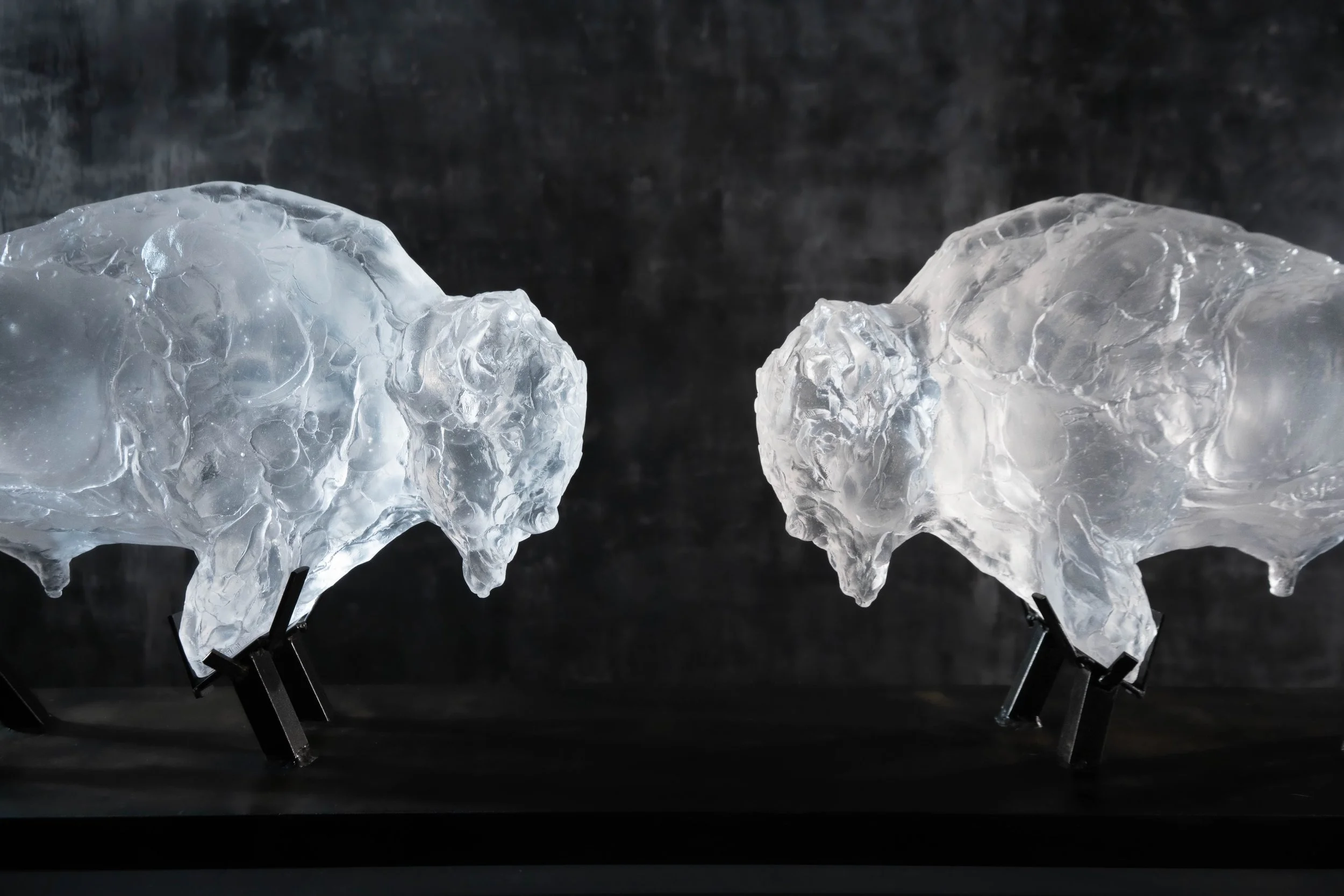 Valence Cast Glass and Steel American Bison Sculpture by Stephanie Revennaugh