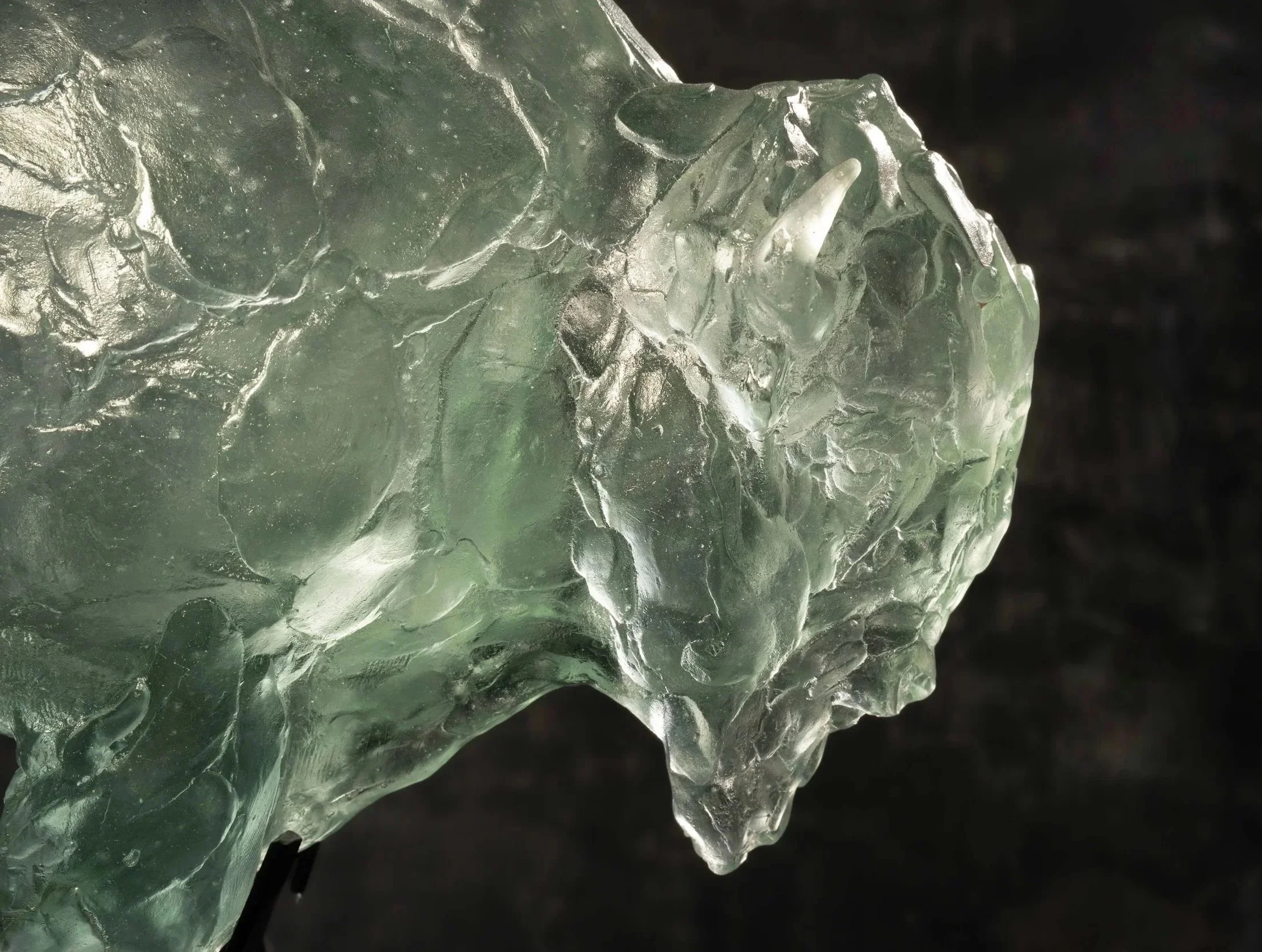 Portent, Cast Glass and Steel American Bison Sculpture by Stephanie Revennaugh