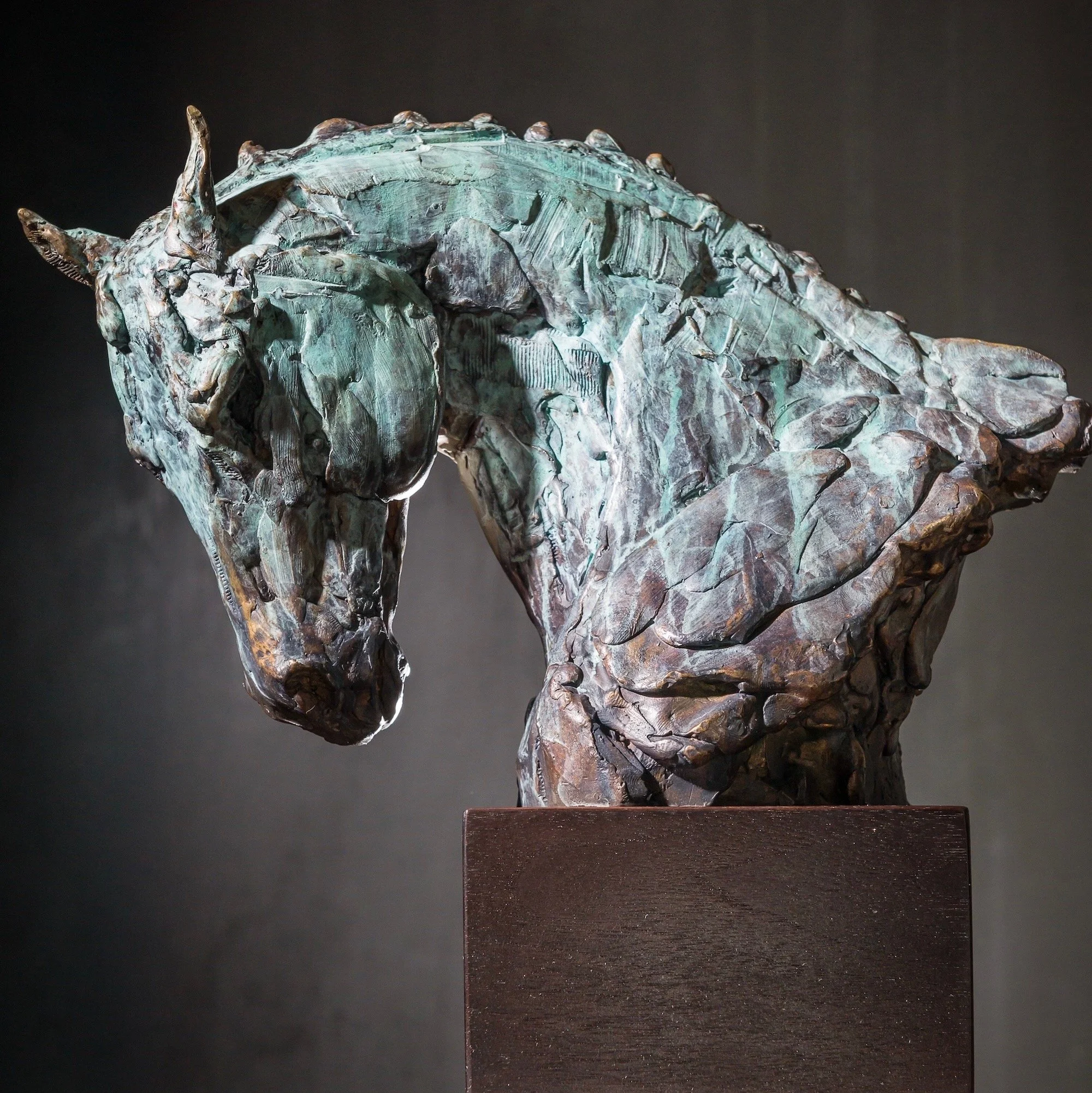Whisper, bronze horse bust on wood by Stephanie Revennaugh