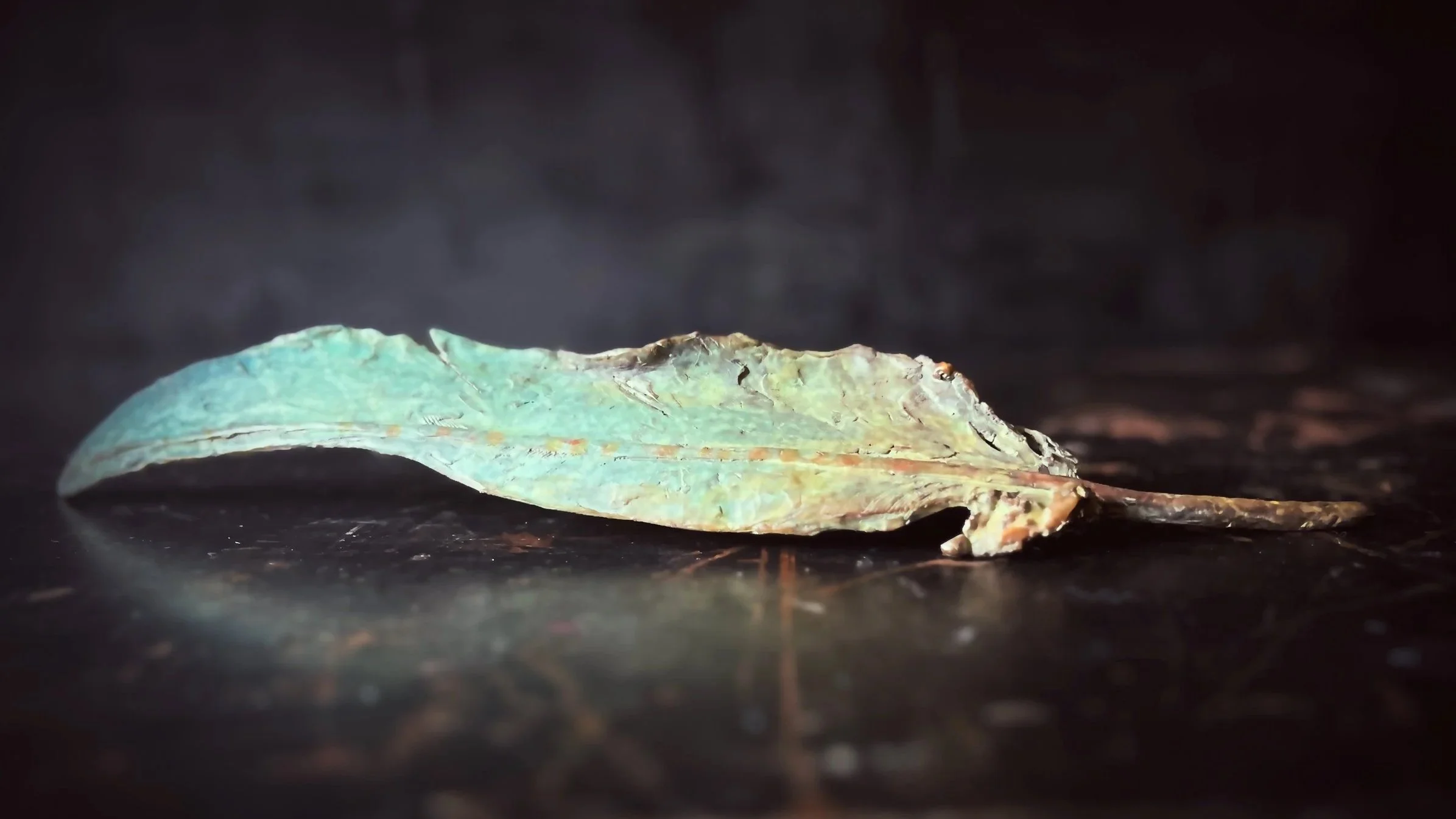 Eagle, bronze feather sculpture by Stephanie Revennaugh