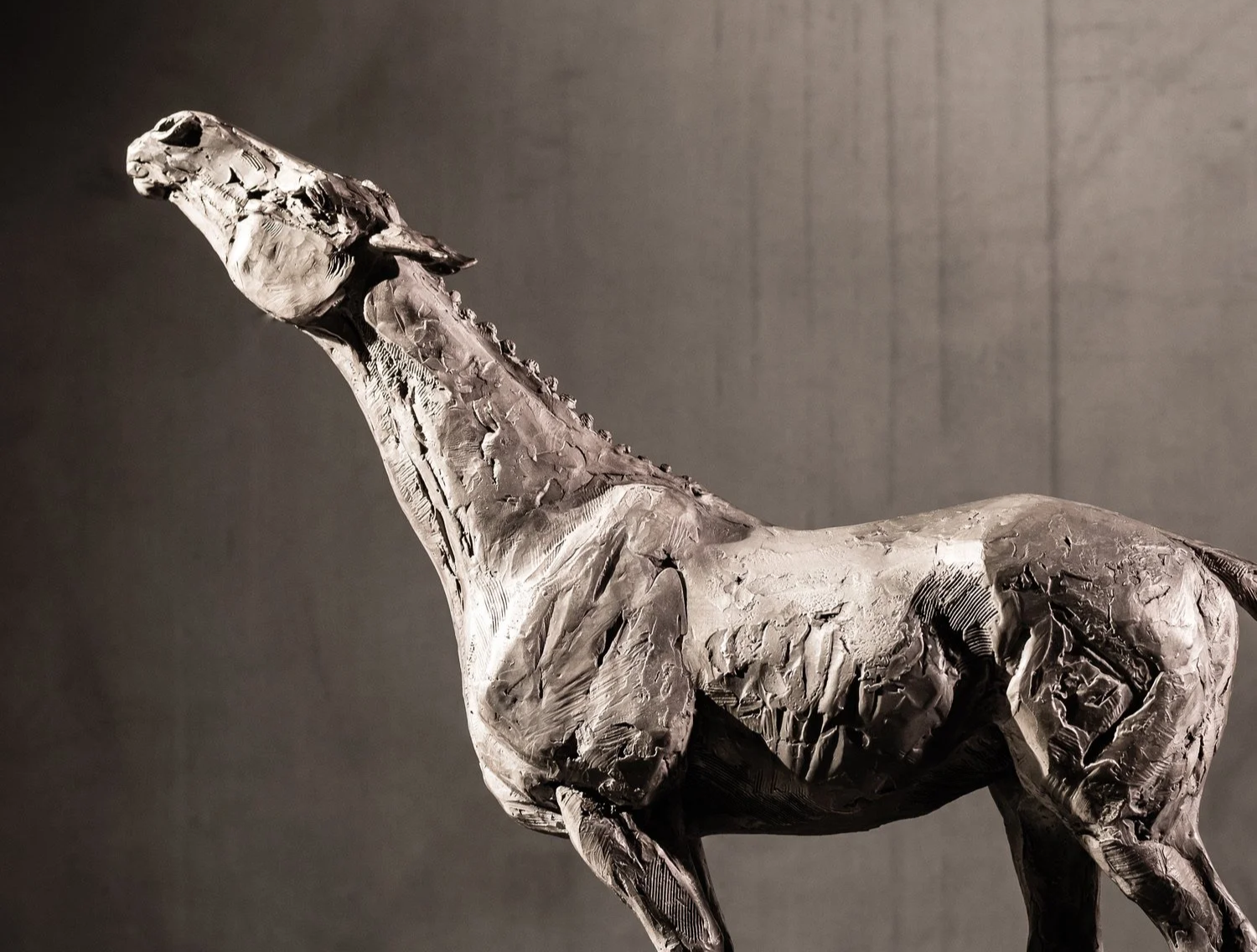 Search, bronze horse sculpture by Stephanie Revennaugh
