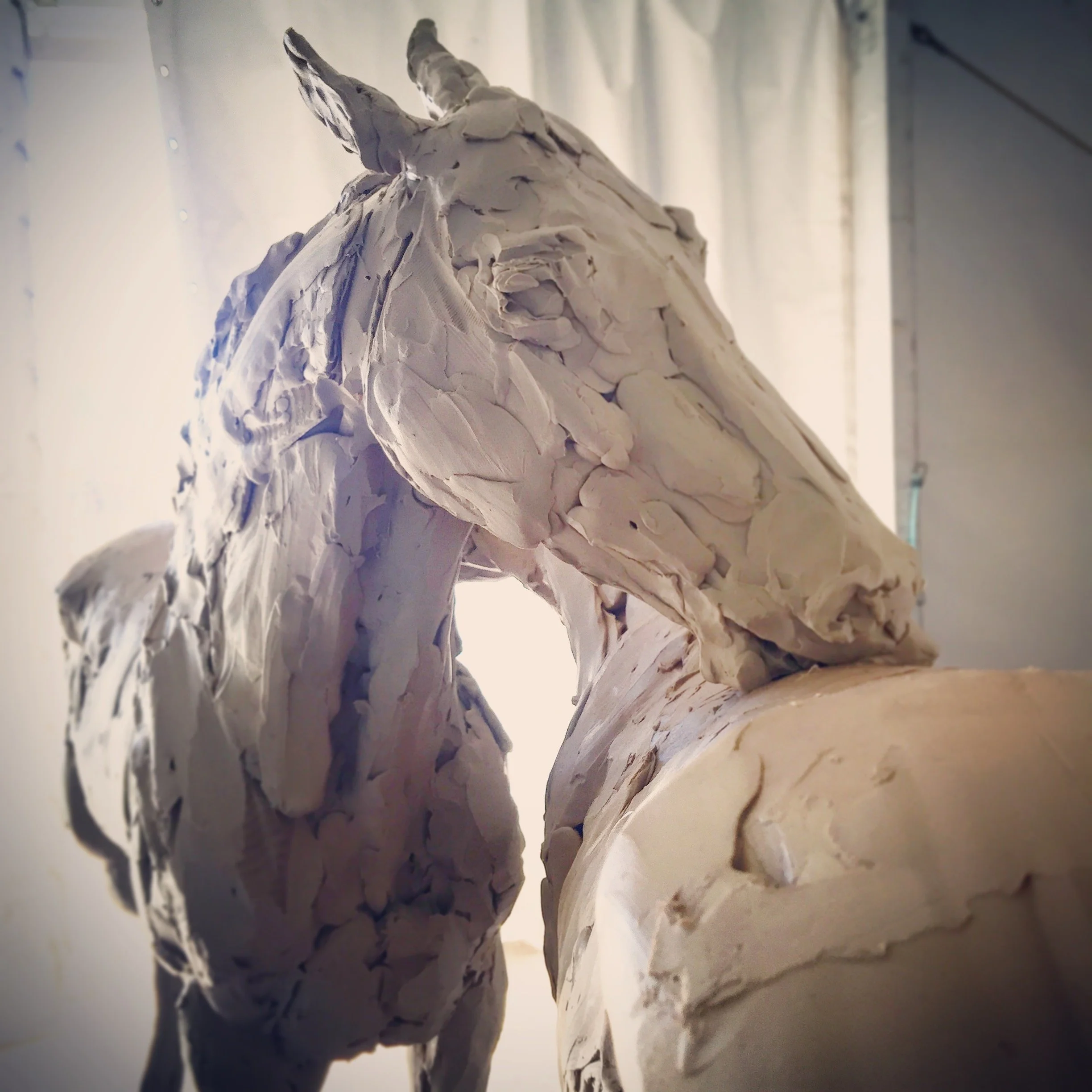 Mutual, clay for  bronze sculpture by Stephanie Revennaugh depicting detail of two horses mutually grooming