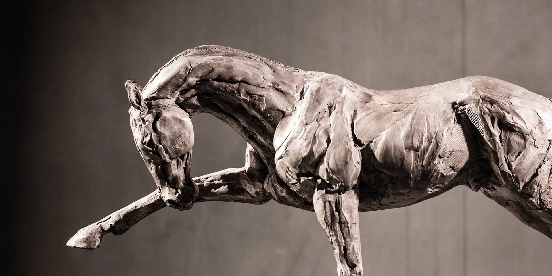 Focus, bronze horse sculpture depicting Akhal-Teke horse striking by Stephanie Revennaugh