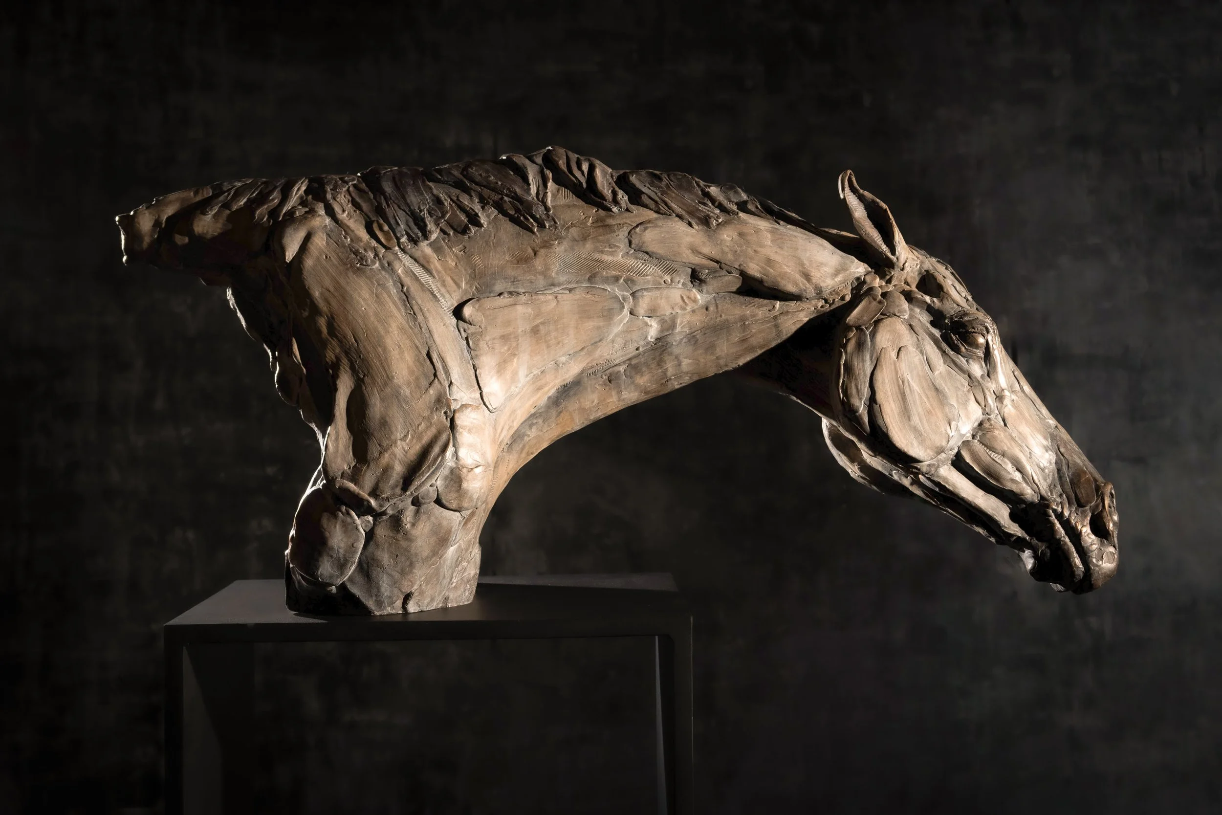 Mo, bronze horse bust sculpture by Stephanie Revennaugh