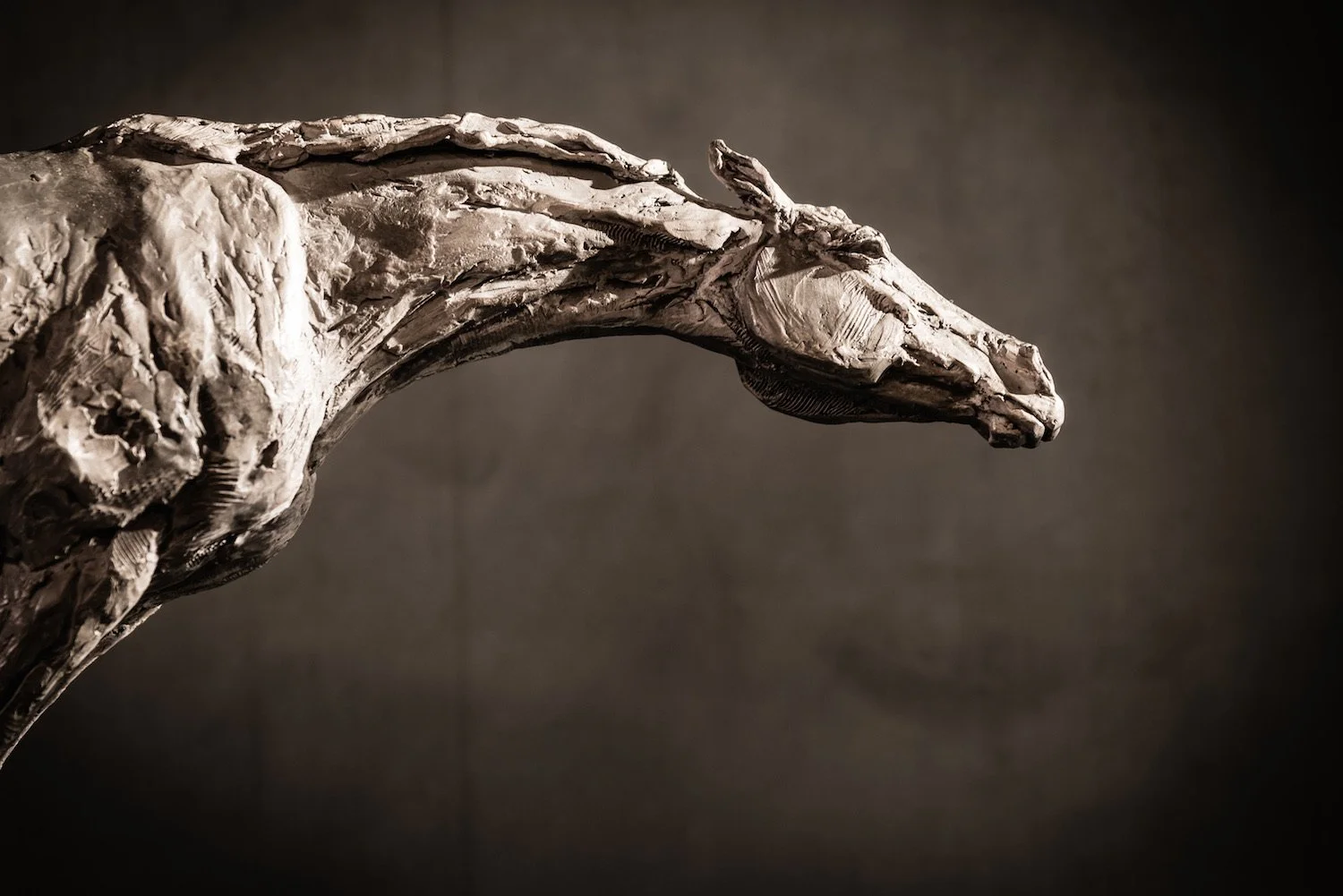 Reach Recklessly,  bronze horse sculpture depicting reaching horse by Stephanie Revennaugh