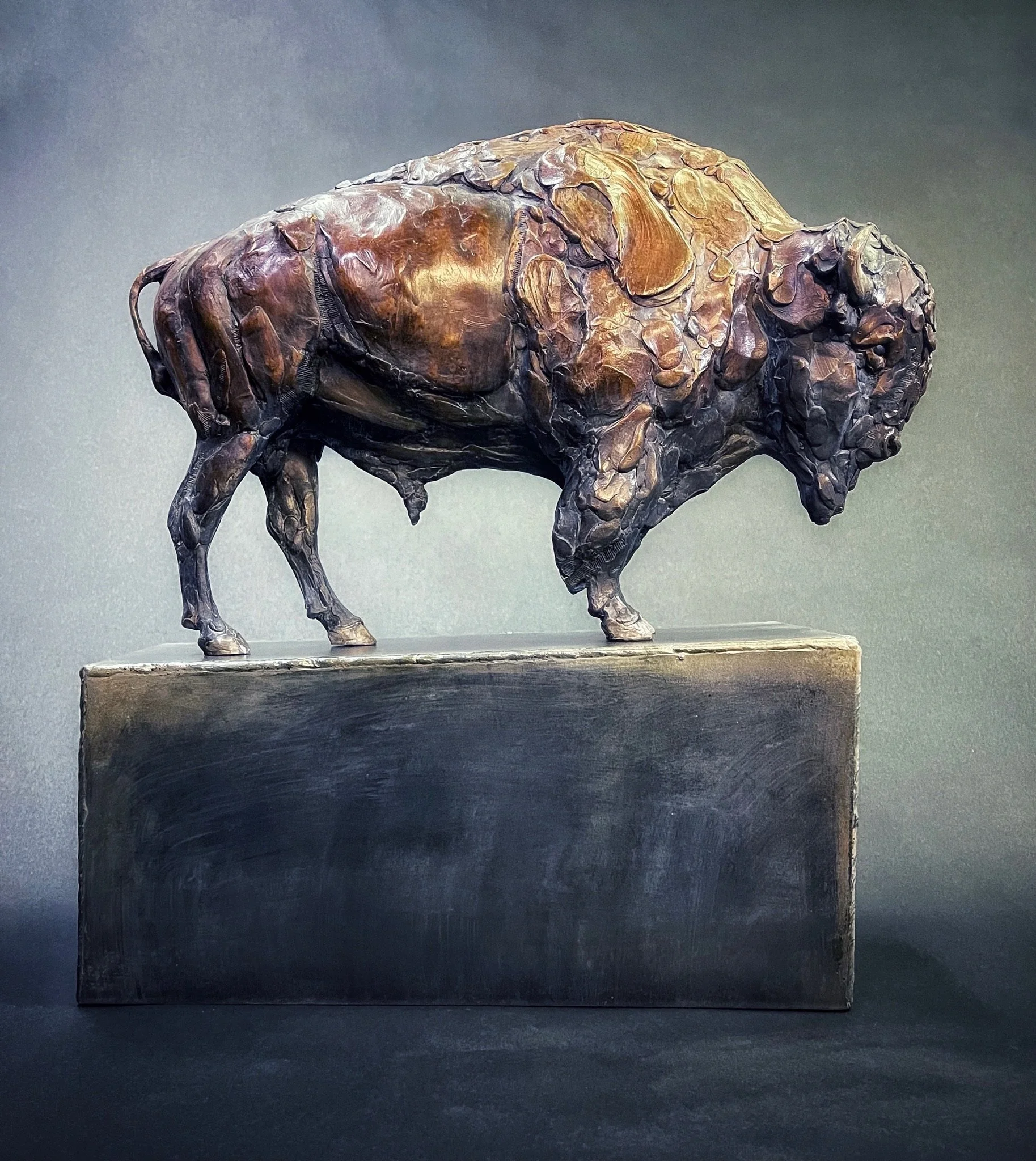 Portent, bronze American Bison sculpture by Stephanie Revennaugh
