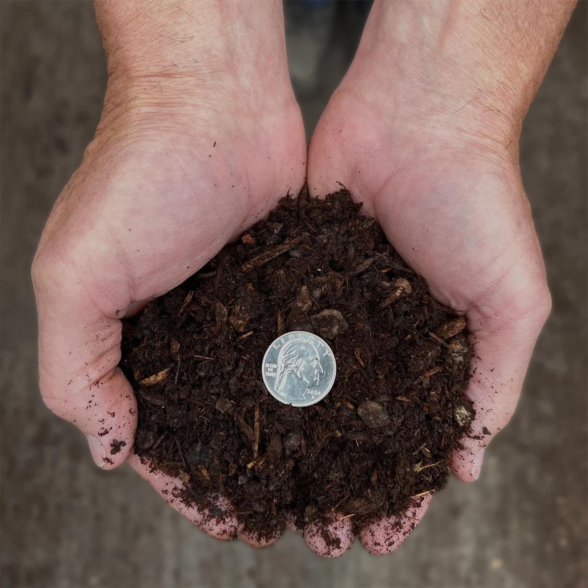 Handful of Medium Dark Bark for scale