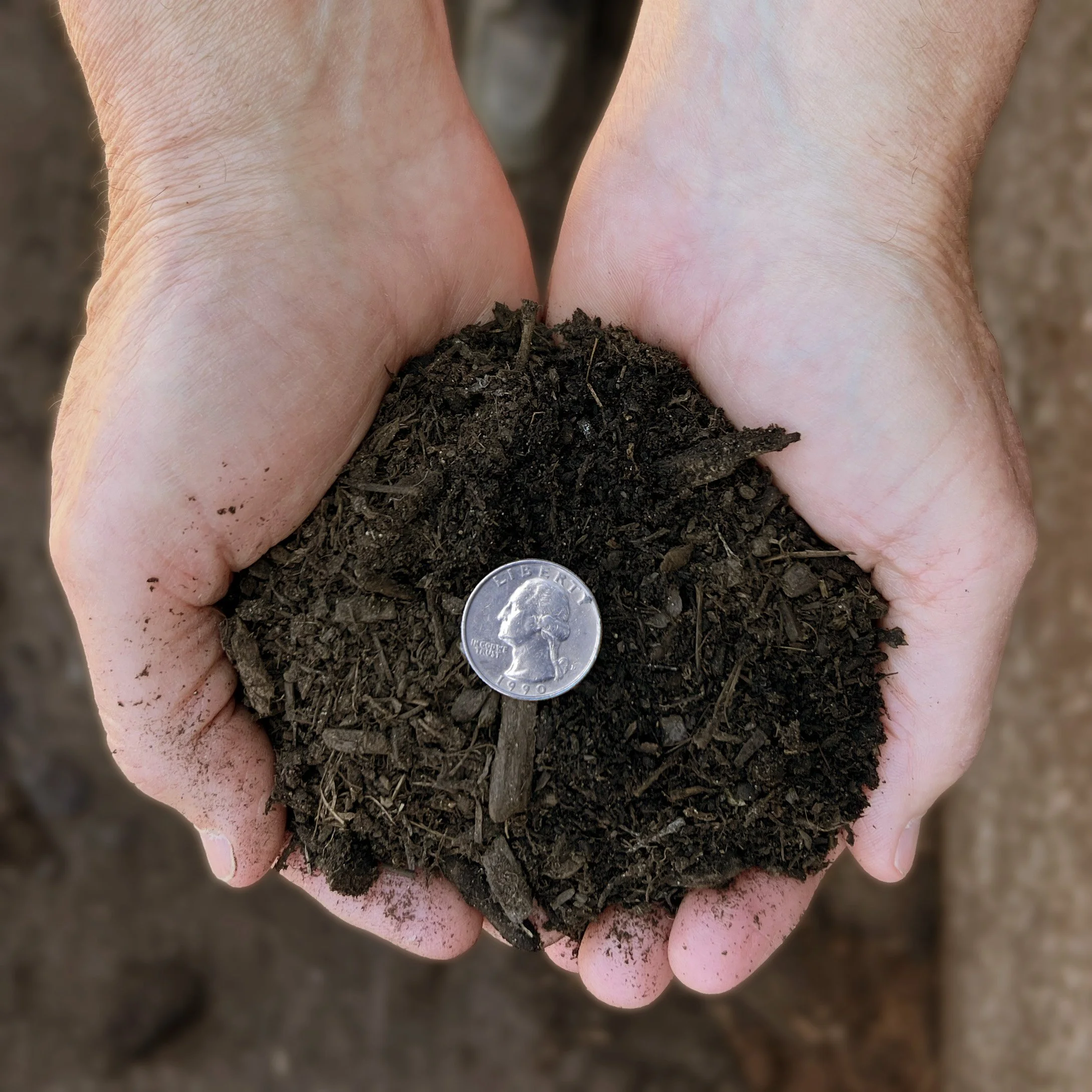 Handful of Dark Mulch for scale