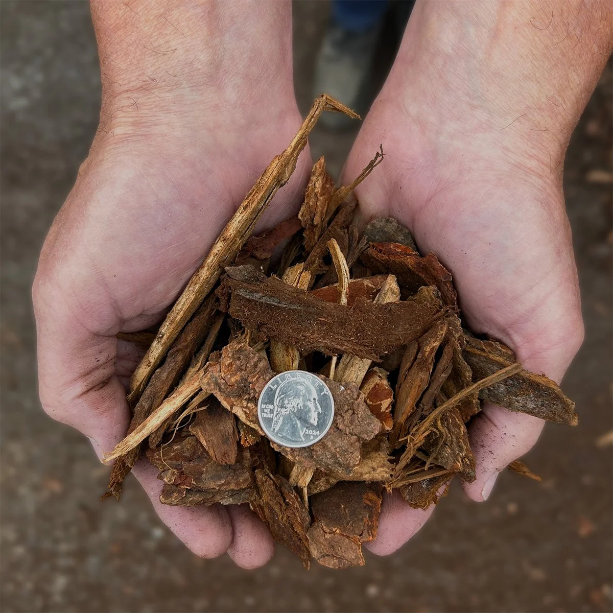 Handful of Bark Nuggets for scale