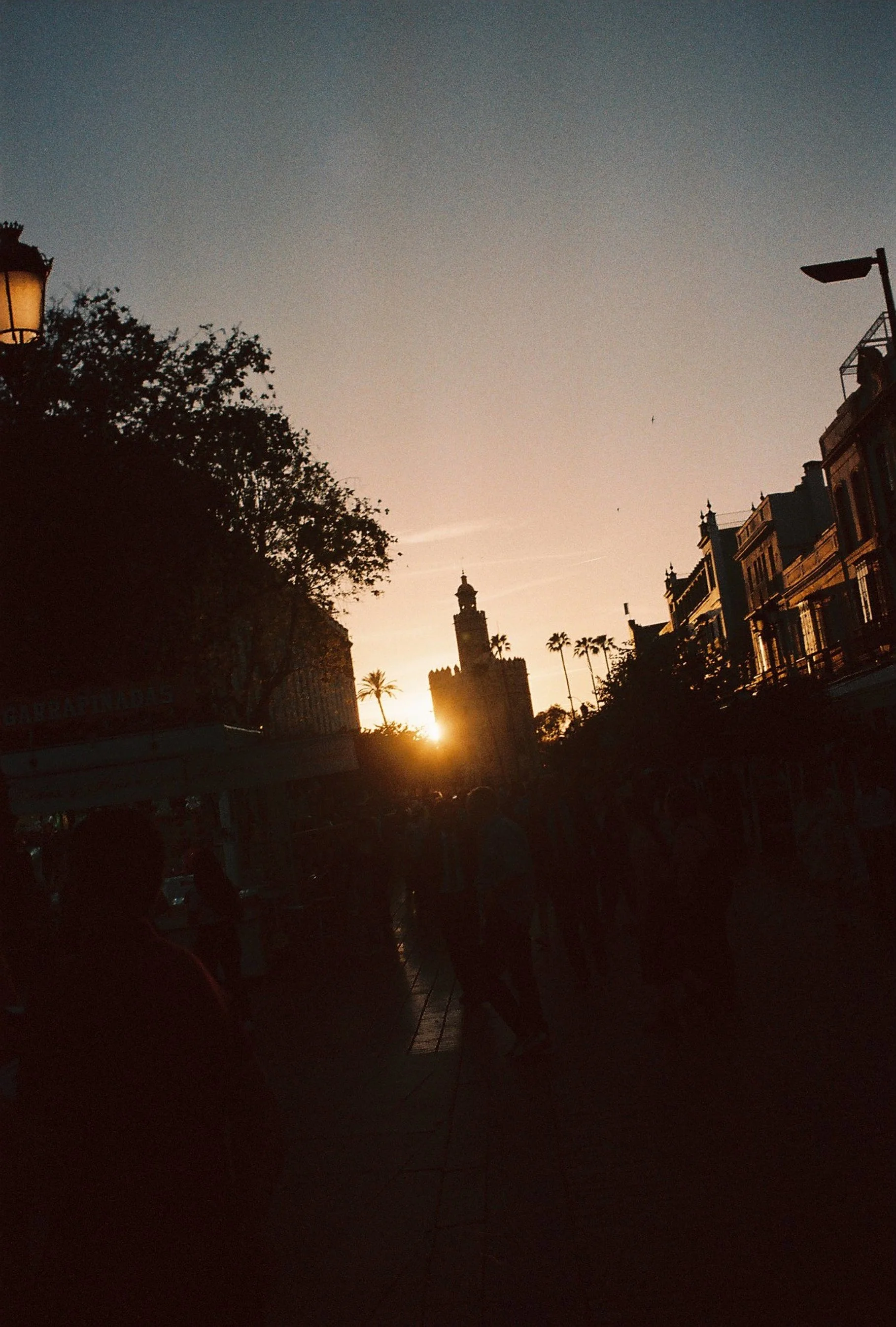 What Is an Elopement in Seville Like? 5 Reasons Why This Spanish City Is Perfect for Your Intimate Wedding