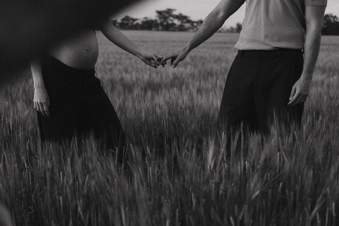 Manos de una pareja entrelazadas en un campo con vegetación y árboles al fondo, en una imagen en blanco y negro.